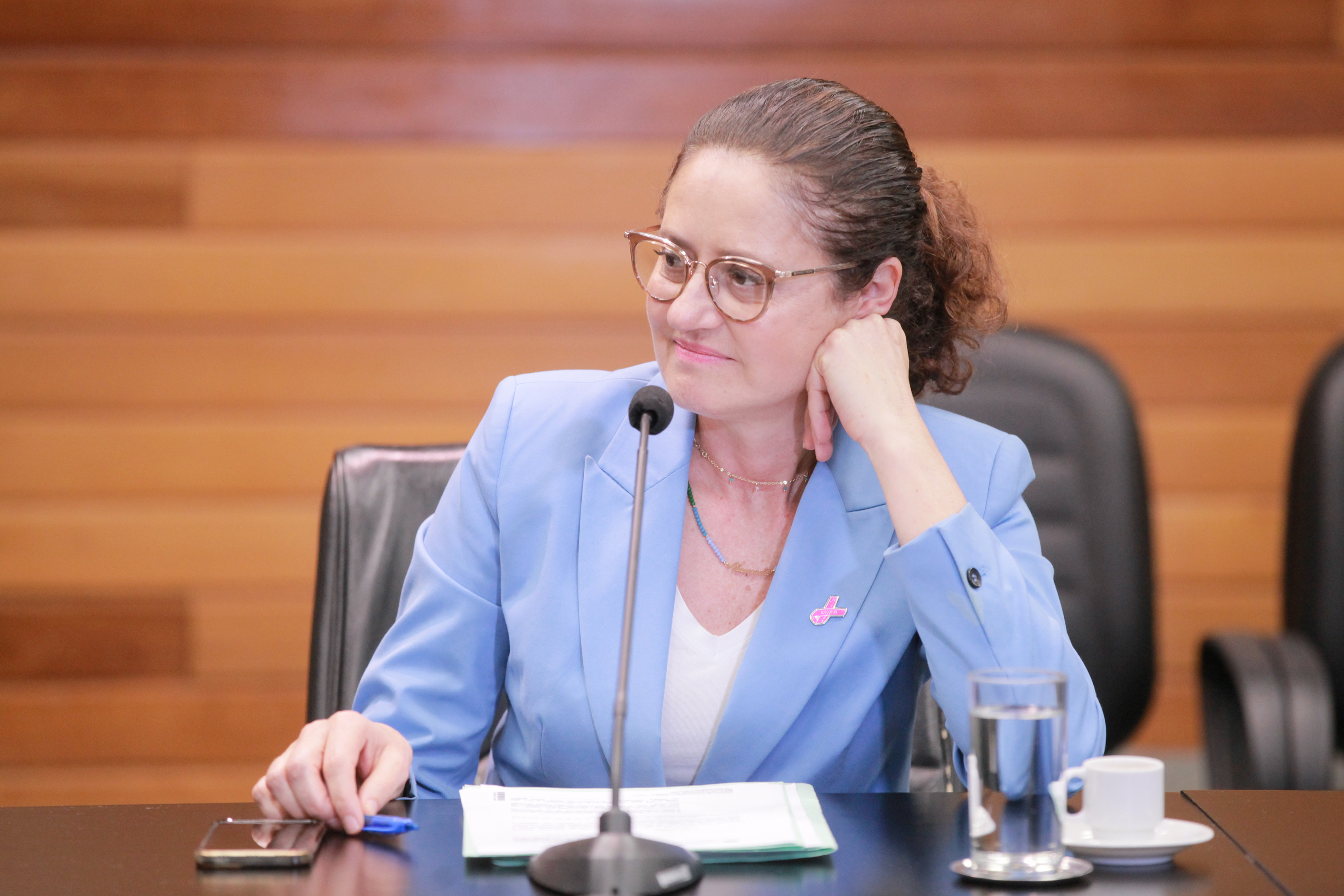 - Deputada Marlene Fengler (PSD)