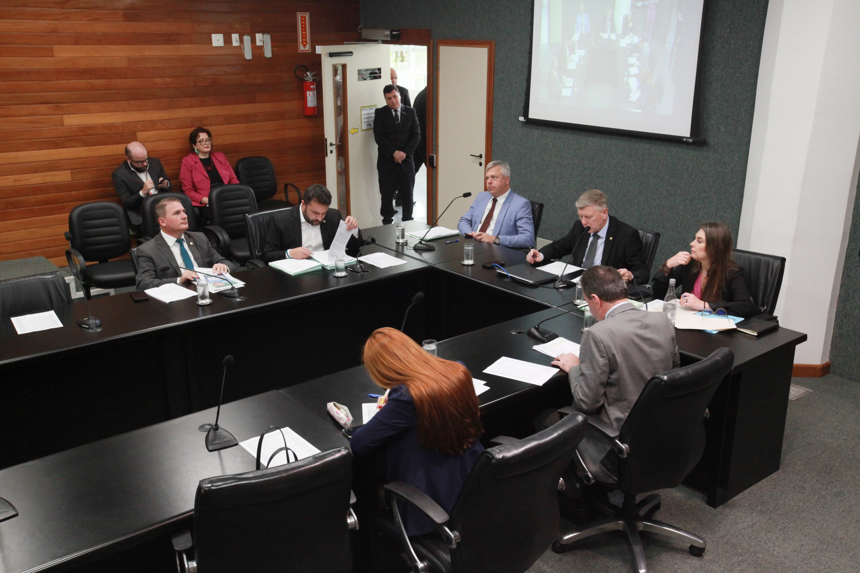 Comissão de Constituição e Justiça