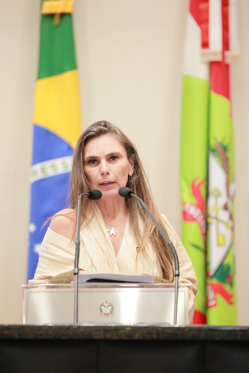 Deputada Paulinha