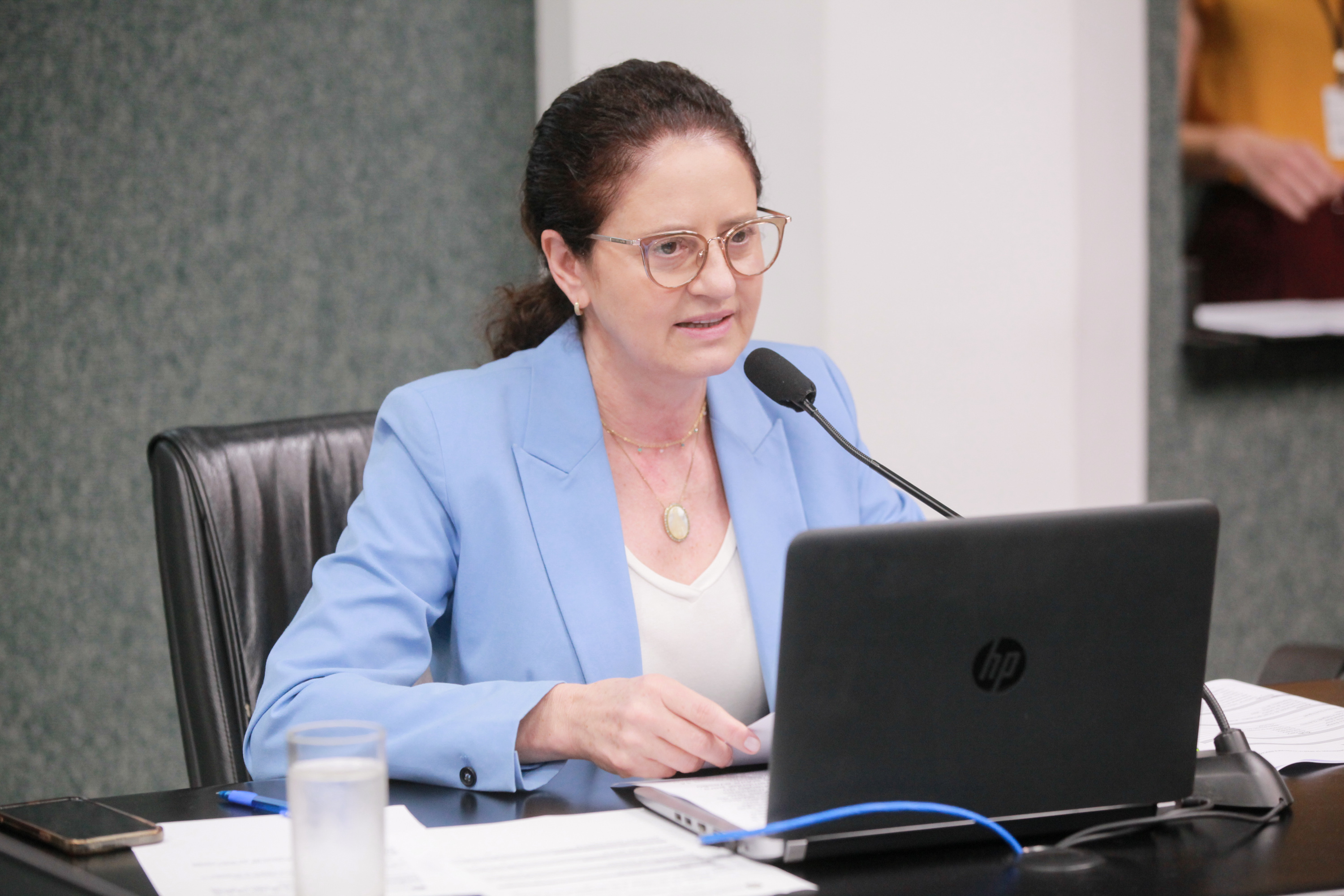 - Deputada Marlene Fengler (PSD)