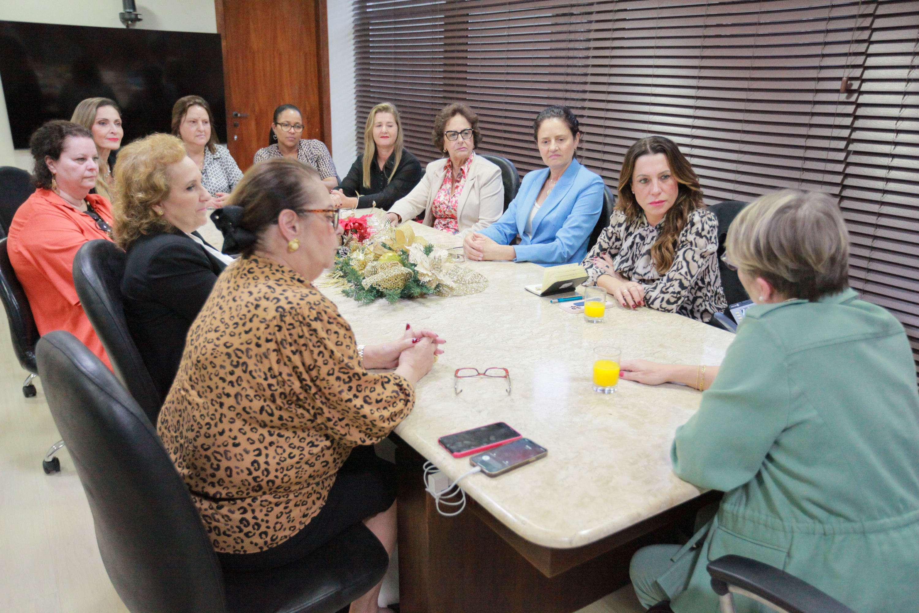 Bancada Feminina conversa com Gabriela Manssur