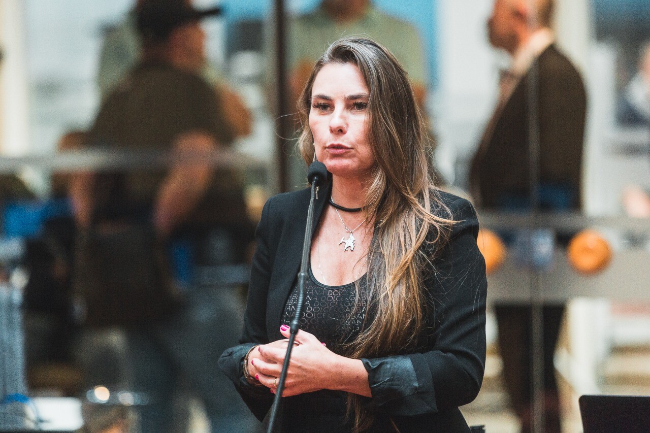 Deputada Paulinha
