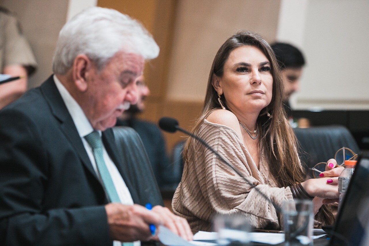 Deputada Paulinha