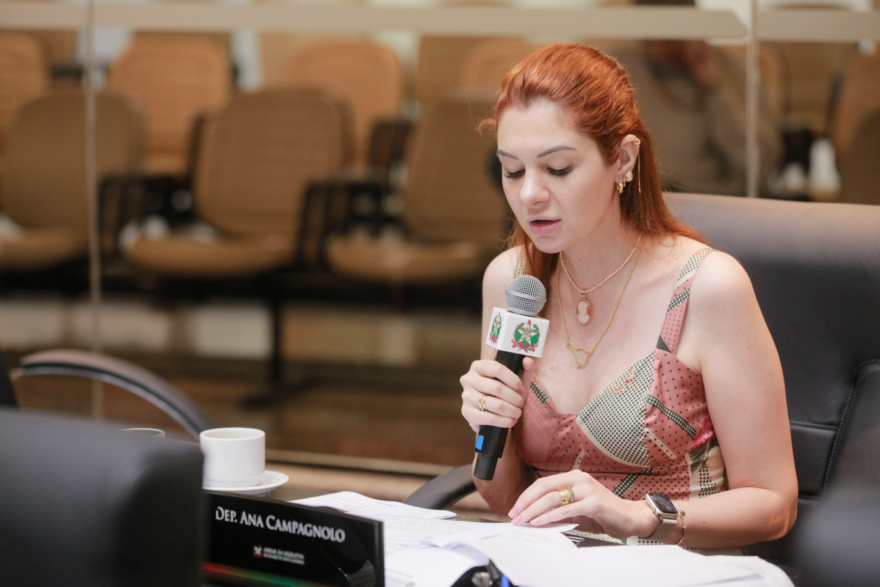 - Deputada Ana Caroline Campagnolo (PL)