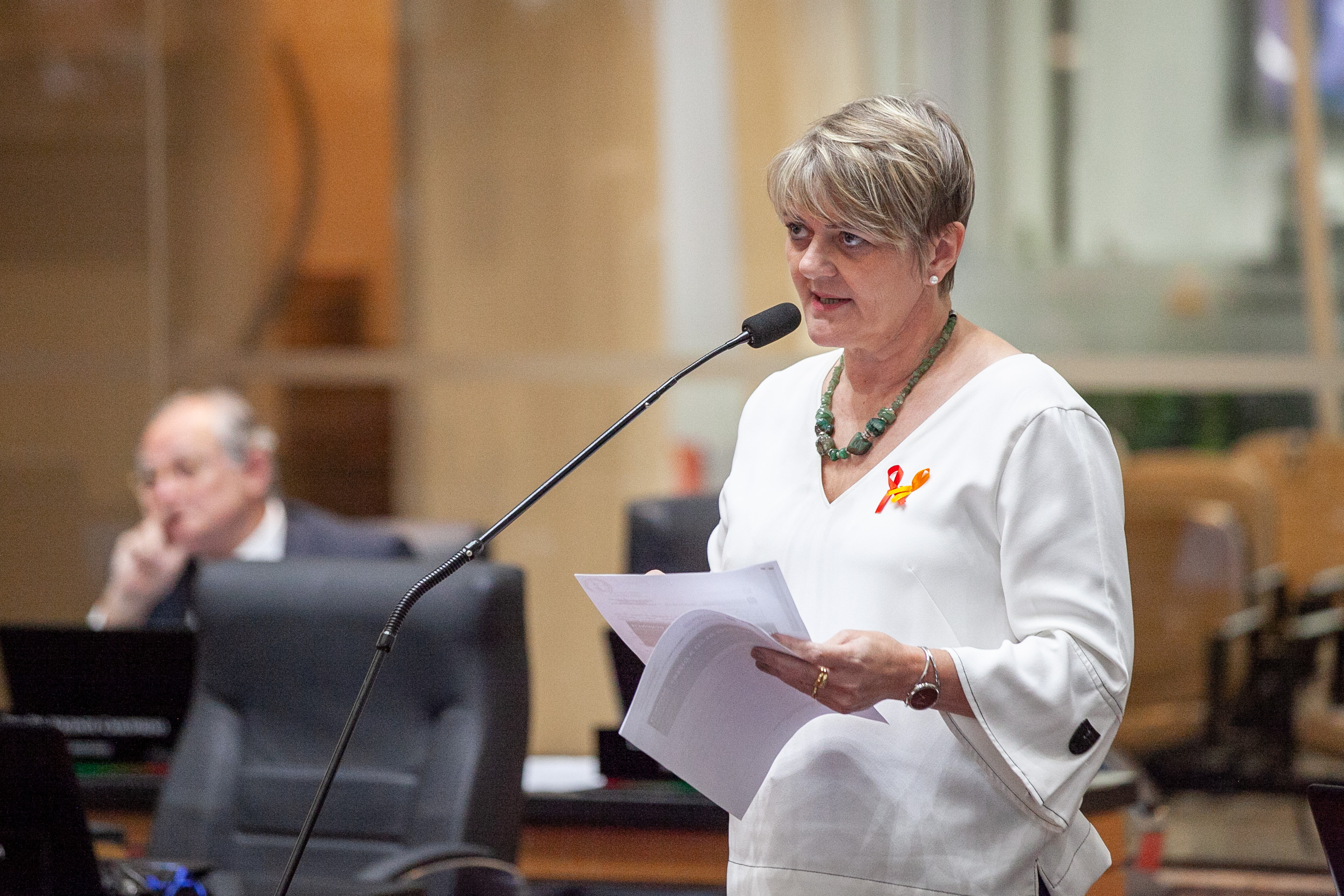 Deputada Luciane Carminatti (PT)