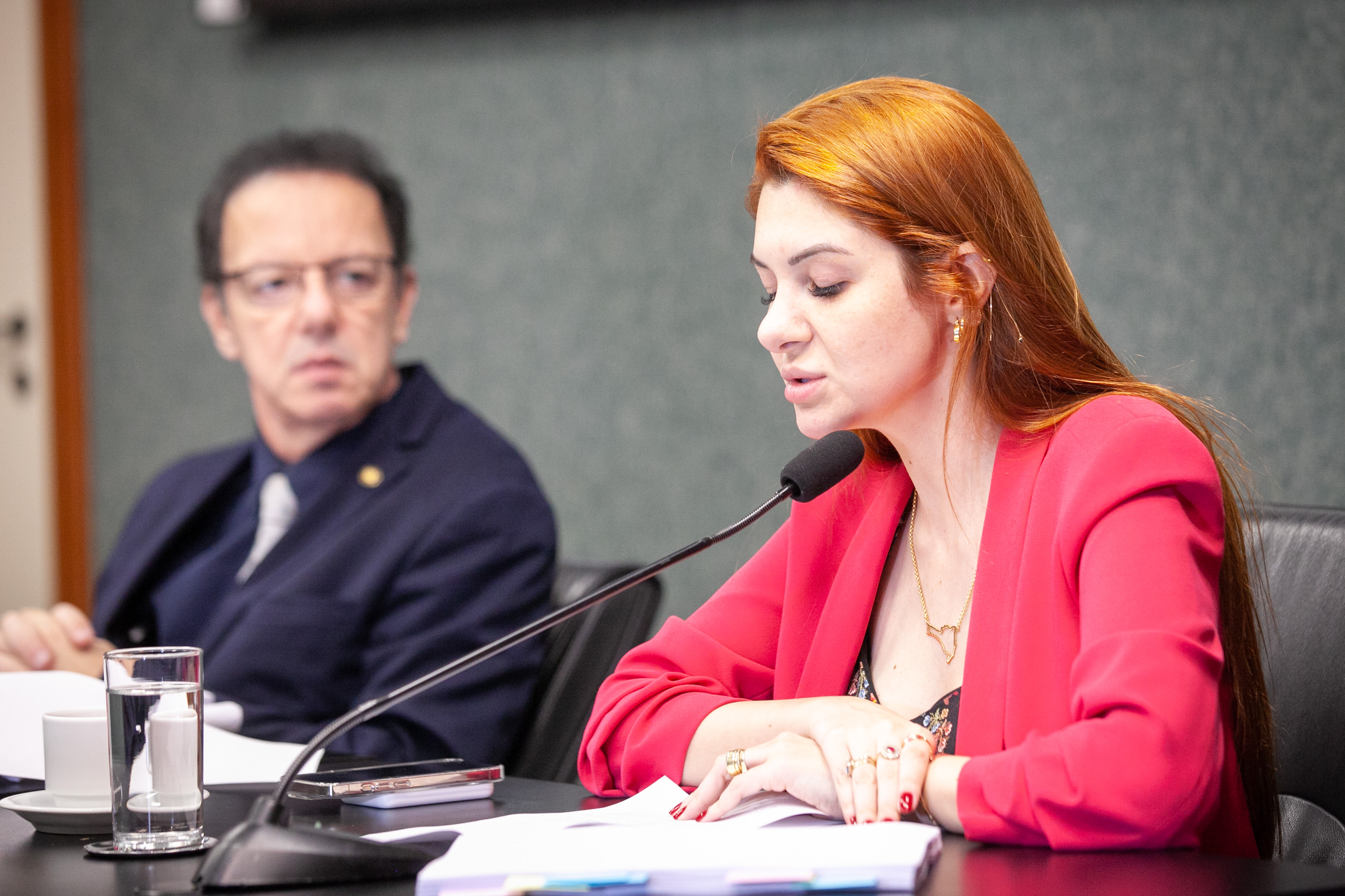 Deputado Ismael dos Santos (PSD) e Deputada Ana Campagnolo (PL)