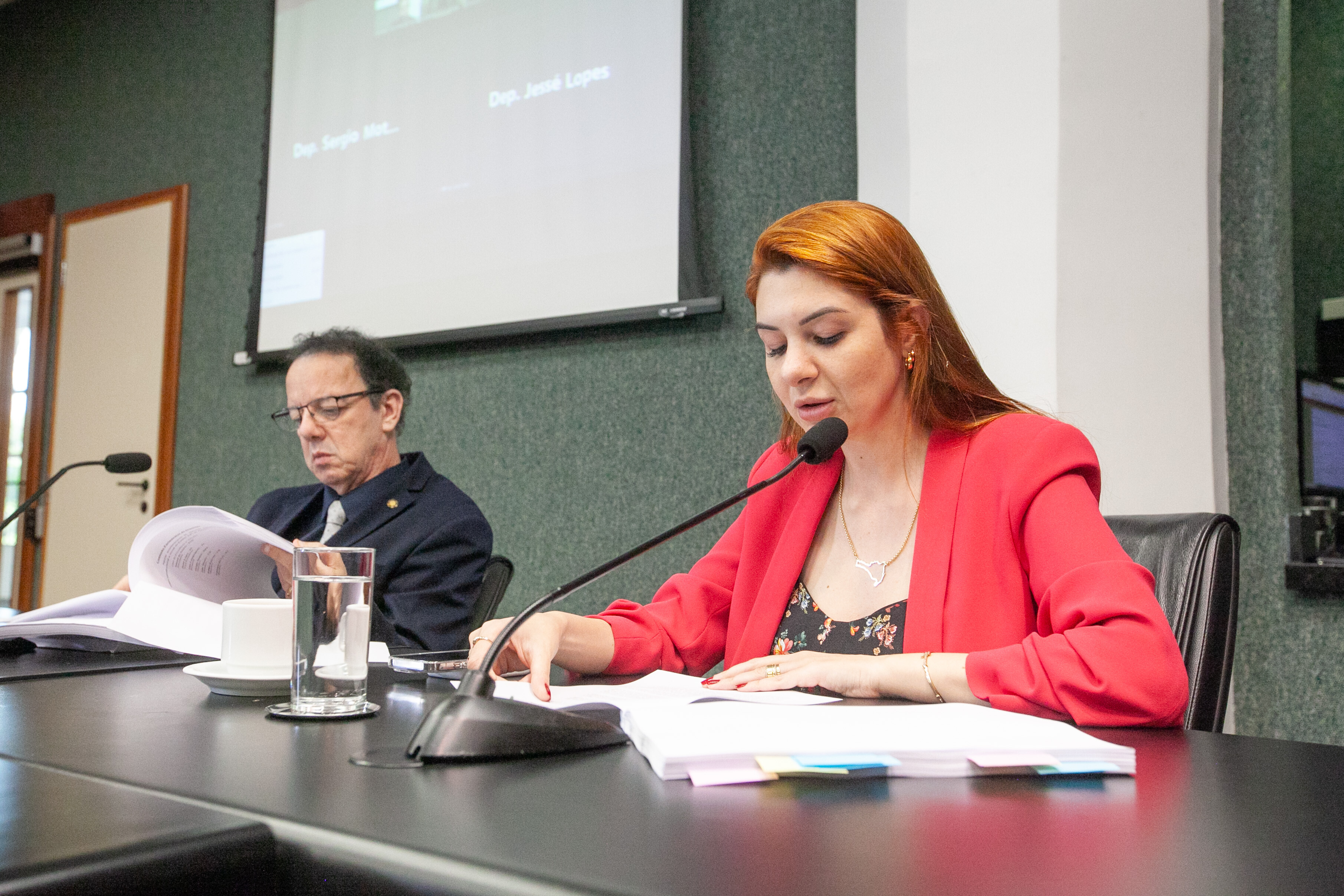 CPI do Aborto aprova relatório final