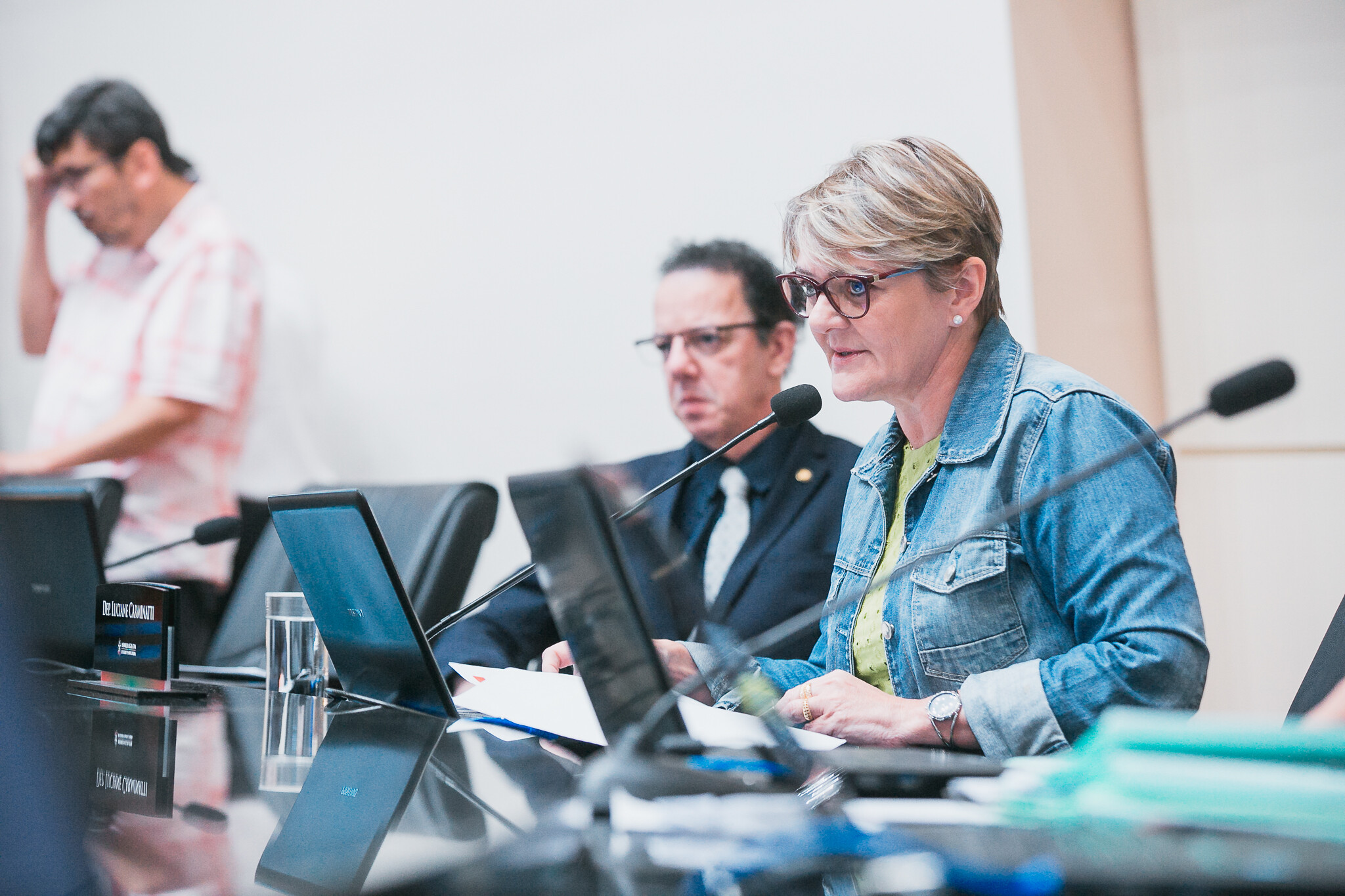 A Comissão de Educação, Cultura e Desporto,  é presidida pela deputada Luciane Carminatti,