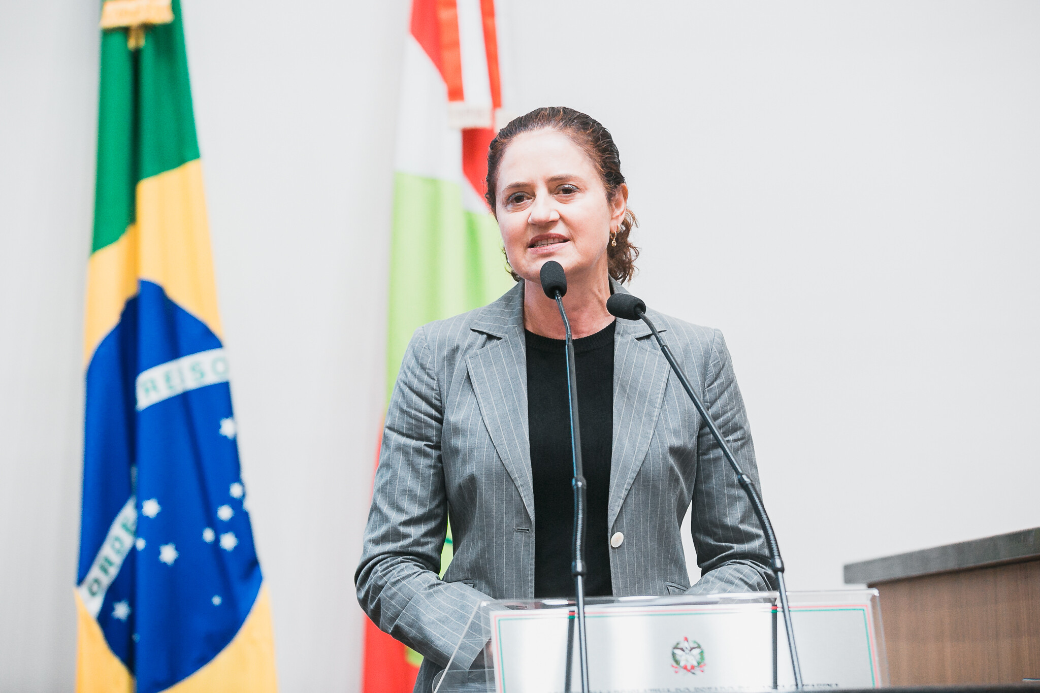 Deputada Marlene Fengler