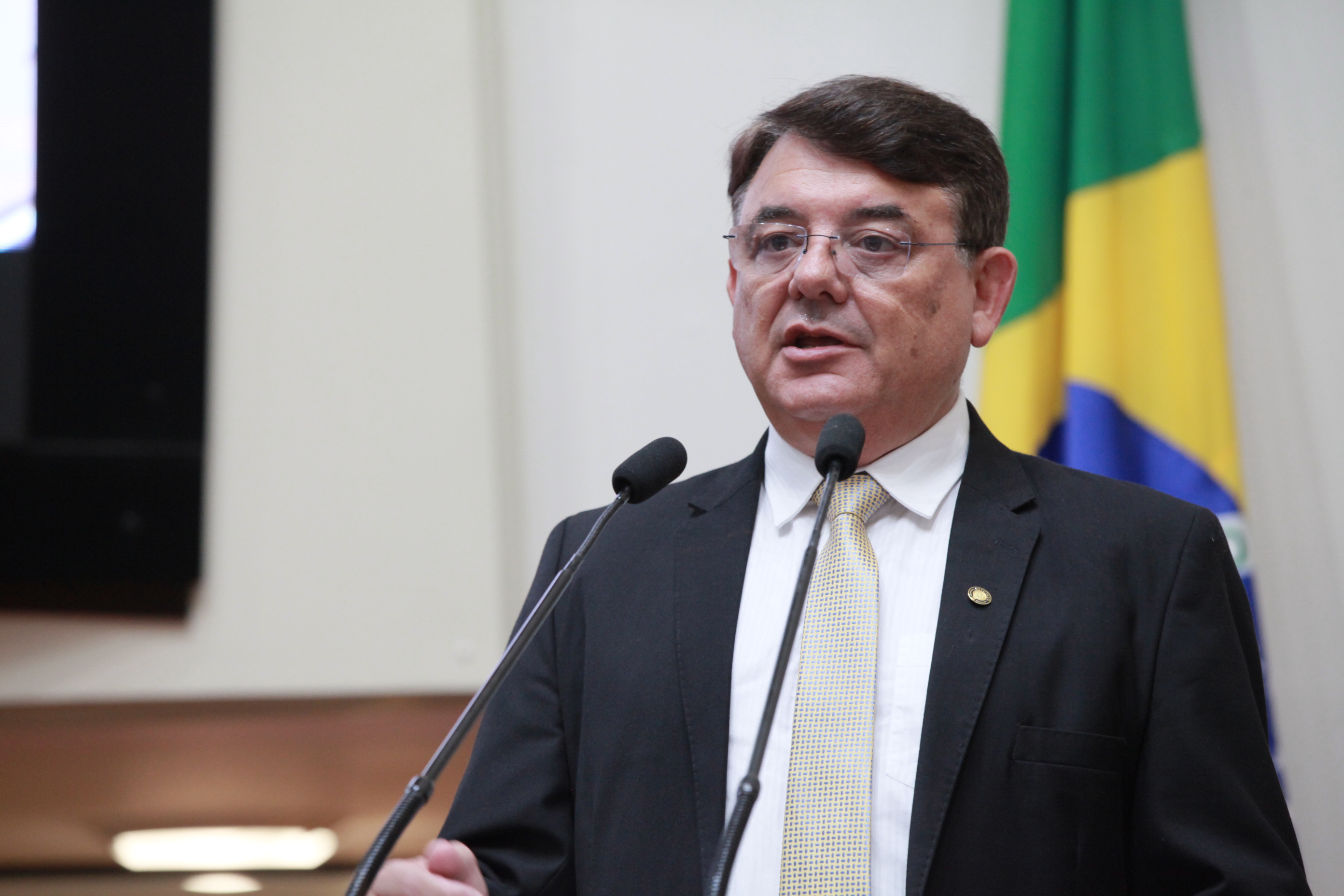 Sessão Ordinária - Deputado Maurício Peixer (PL)