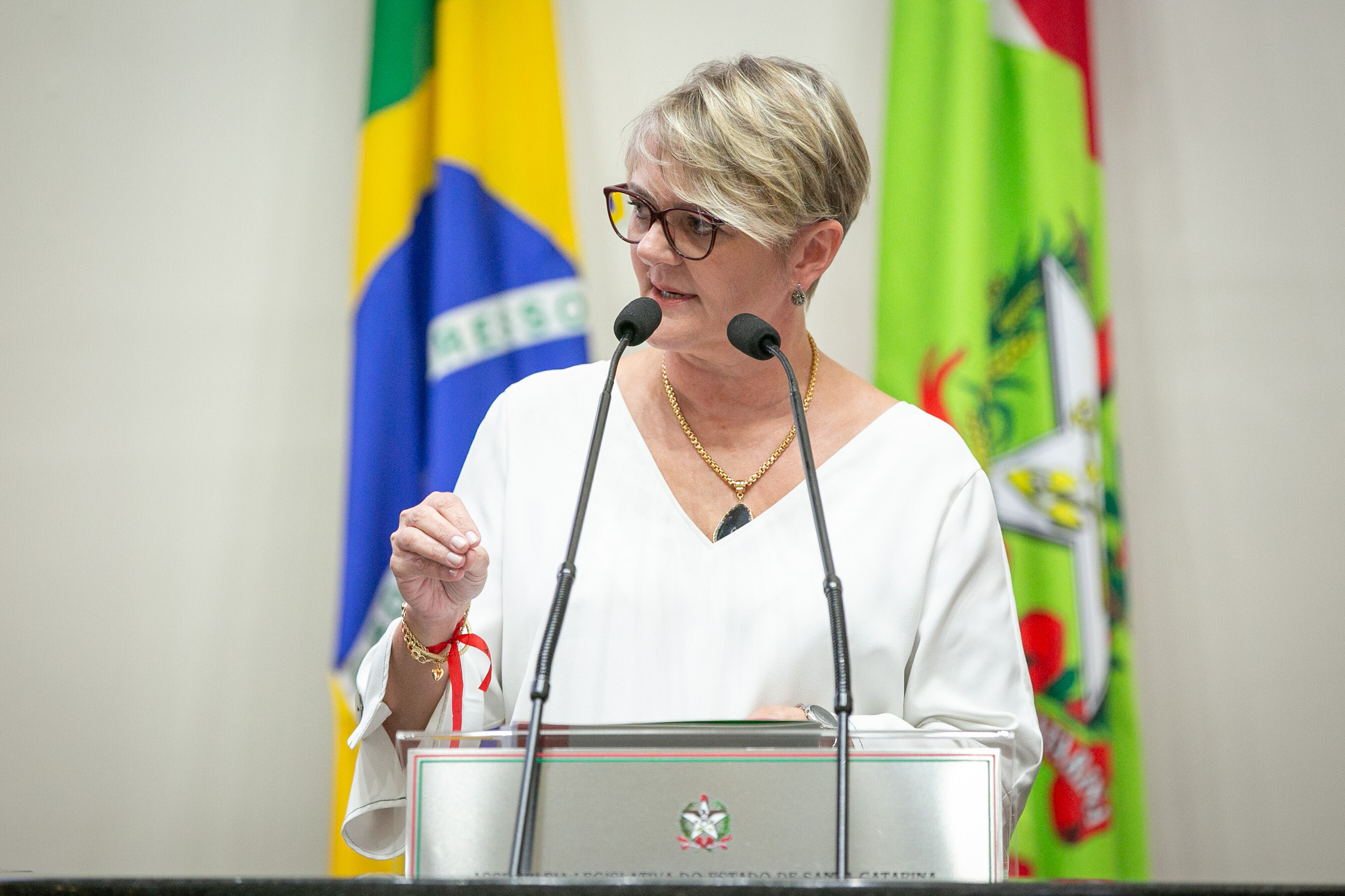 Deputada Luciane Carminatti