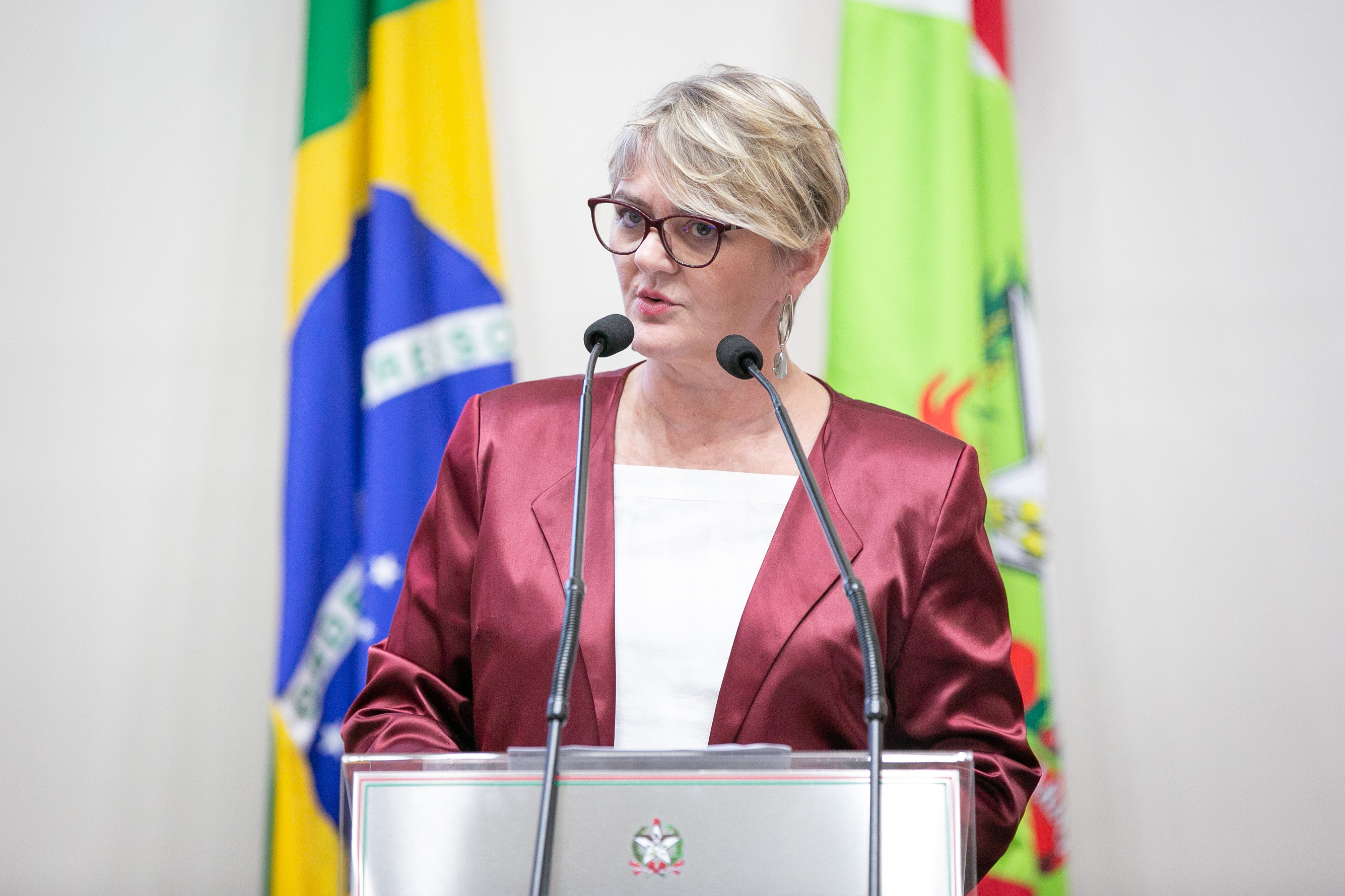 Deputada Luciane Carminatti (PT)