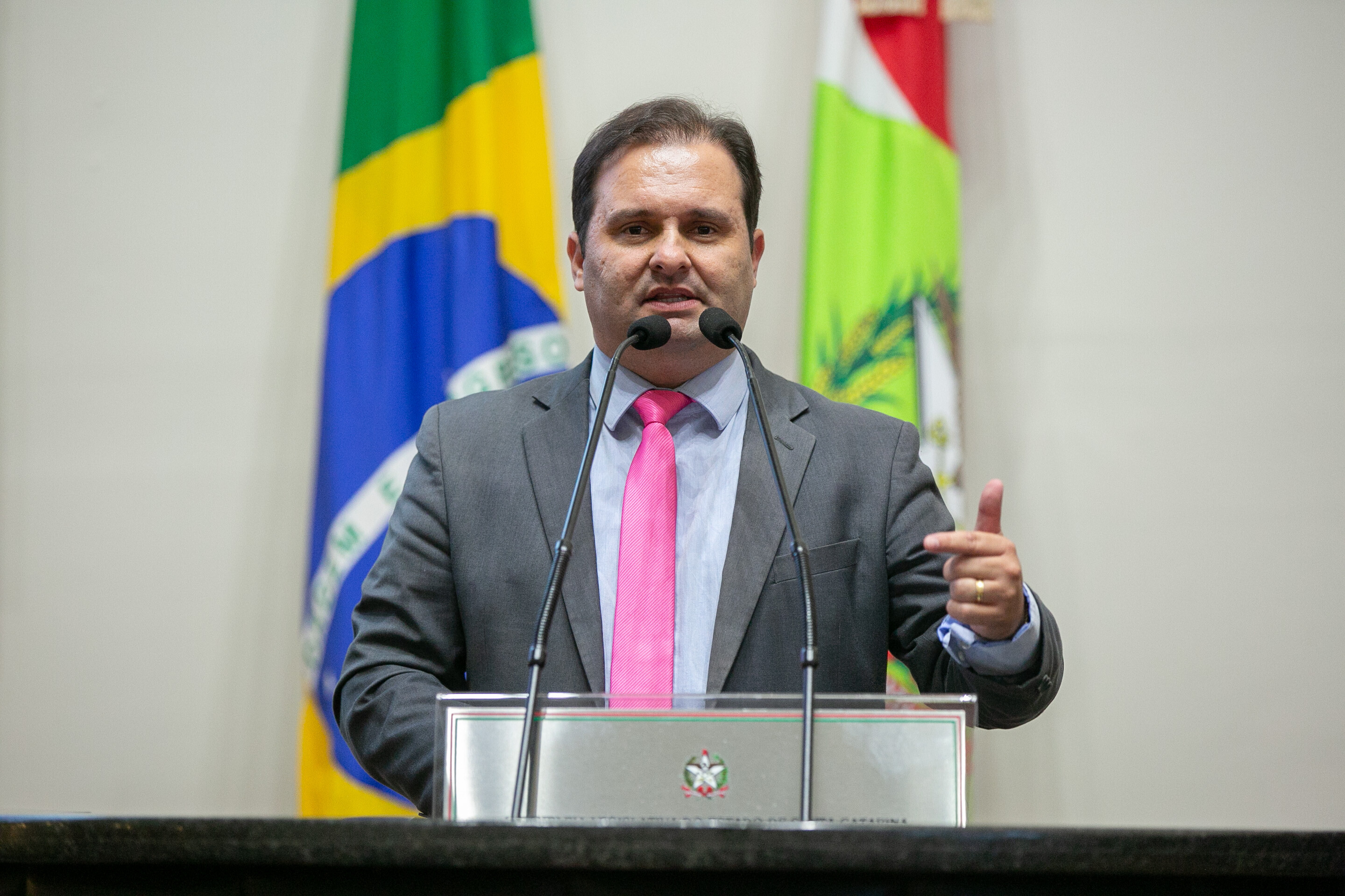 Deputado Sérgio Guimarães