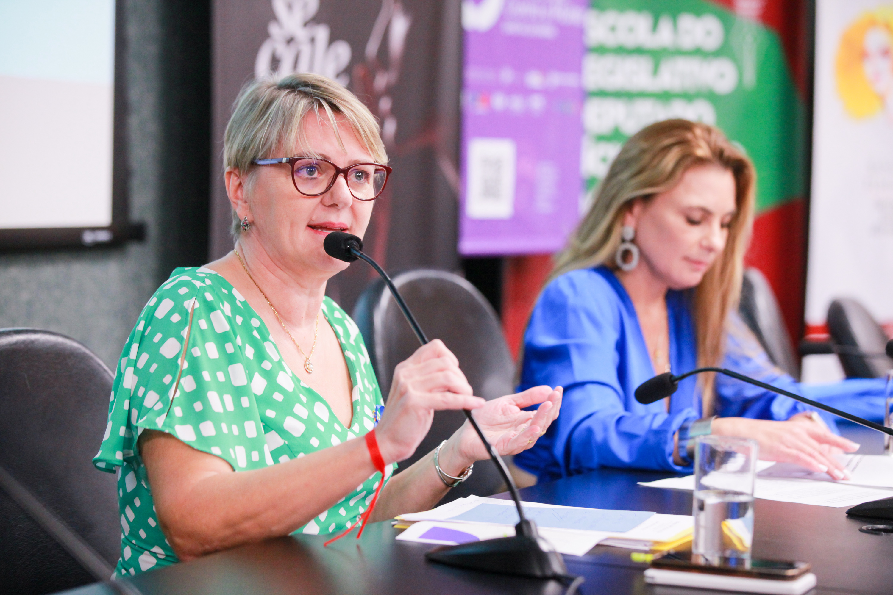- Deputada Luciane Carminatti (PT)