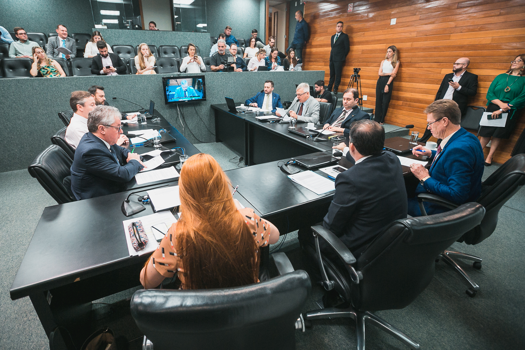 Comissão de Constituição e Justiça