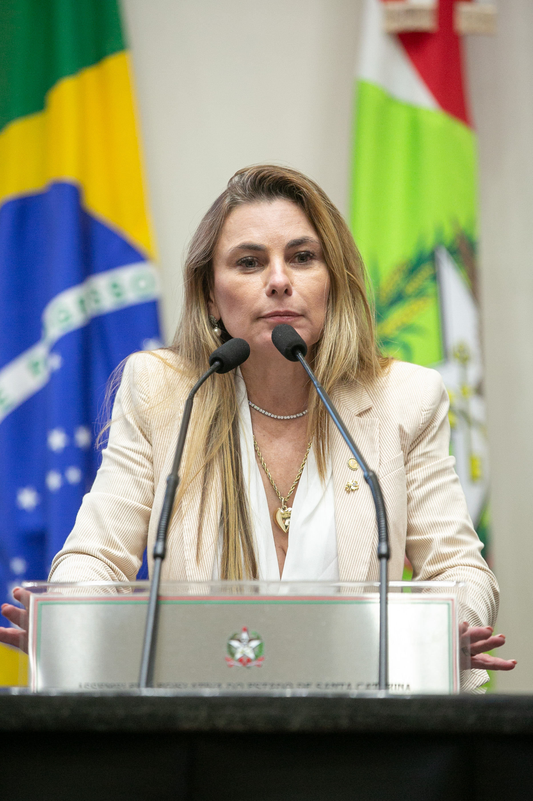 Deputada Paulinha (Podemos)