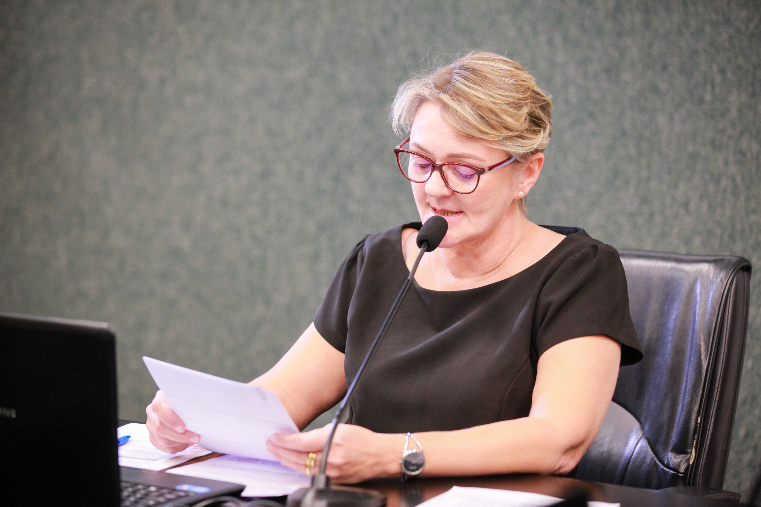 - Deputada Luciane Carminatti (PT)