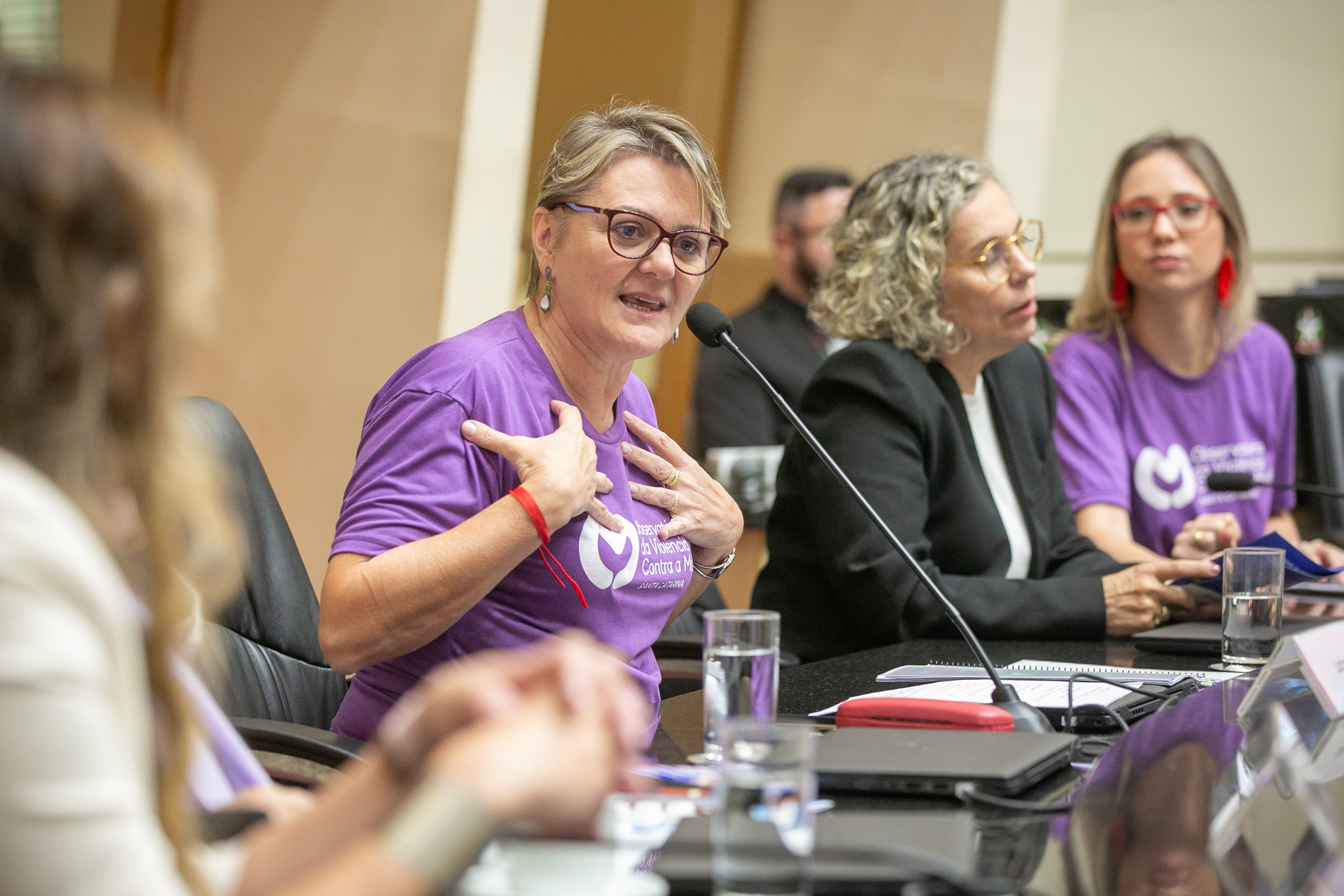 Deputada Luciane Carminatti (PT)