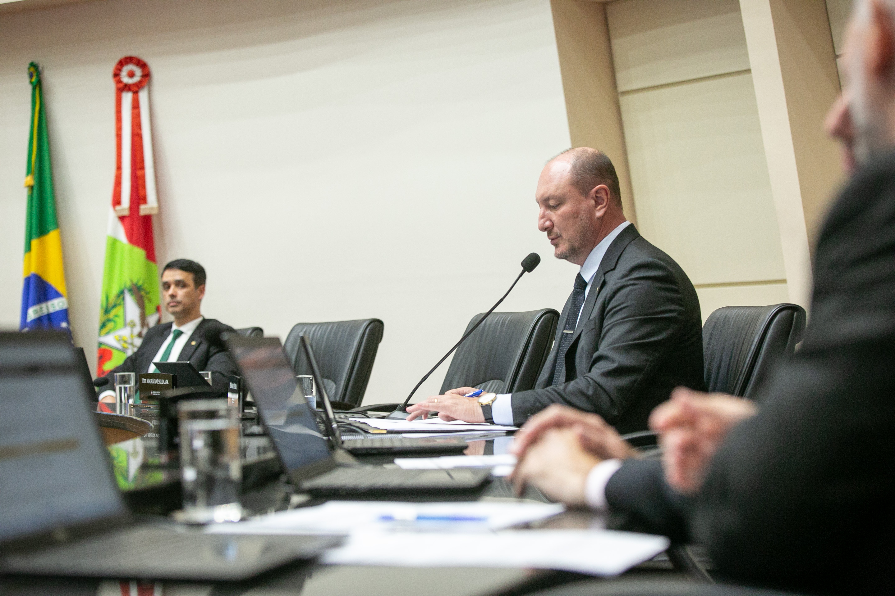 Deputado Mauro de Nadal (MDB)
