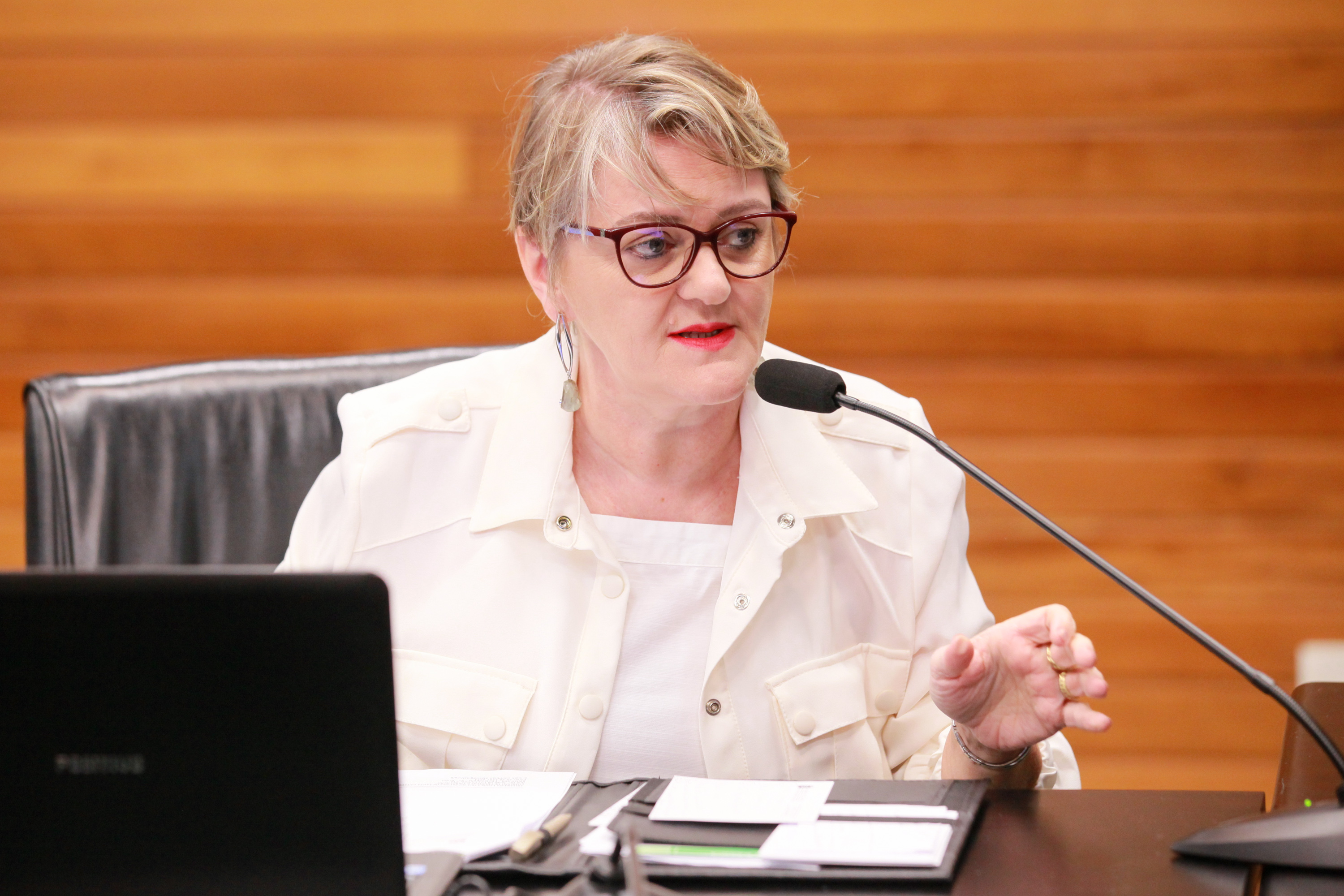 - Deputada Luciane Carminatti (PT)