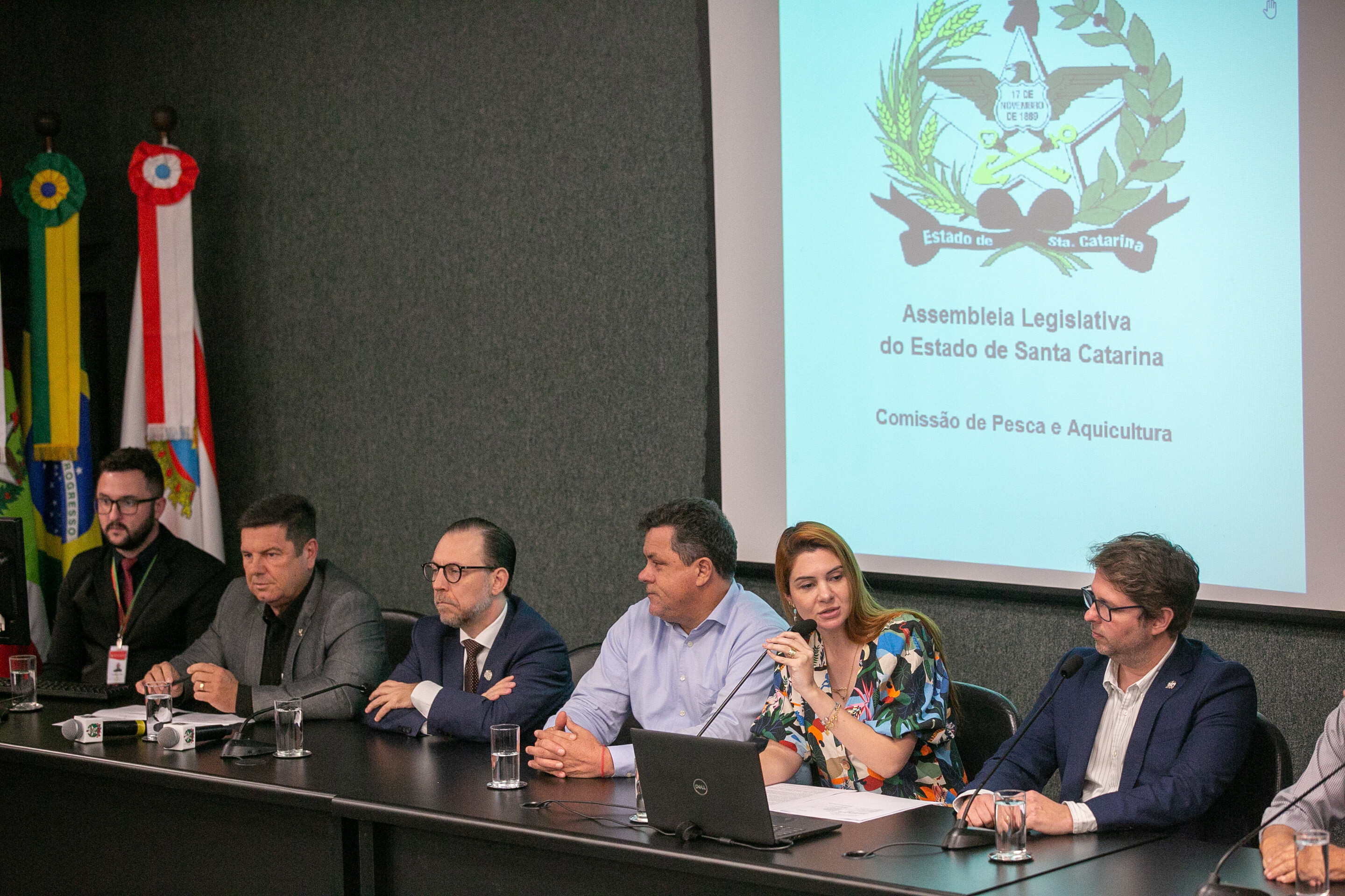Audiência pública sobre a pesca da tainha movimenta a Alesc