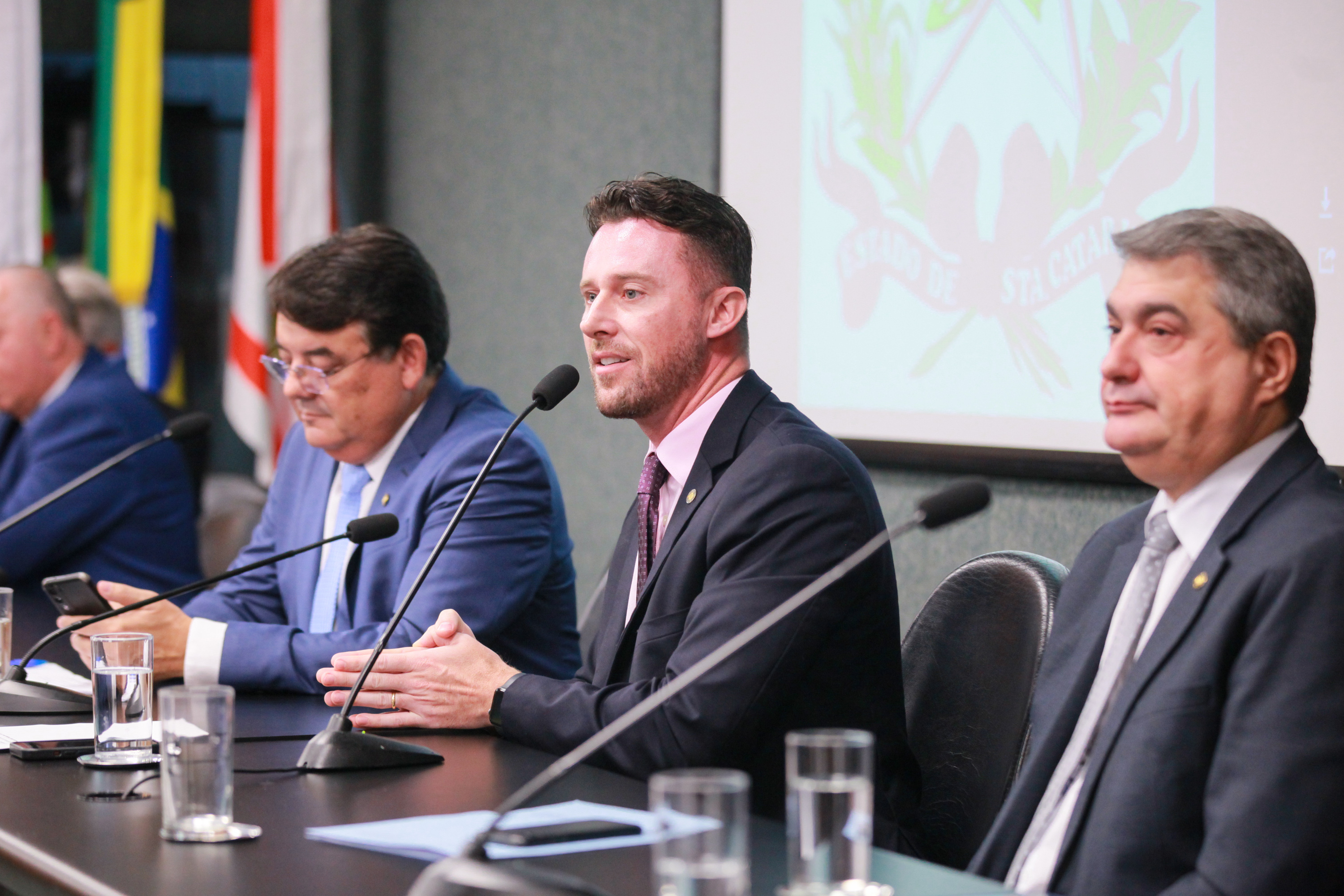 - Deputado Fernando Krelling (MDB)