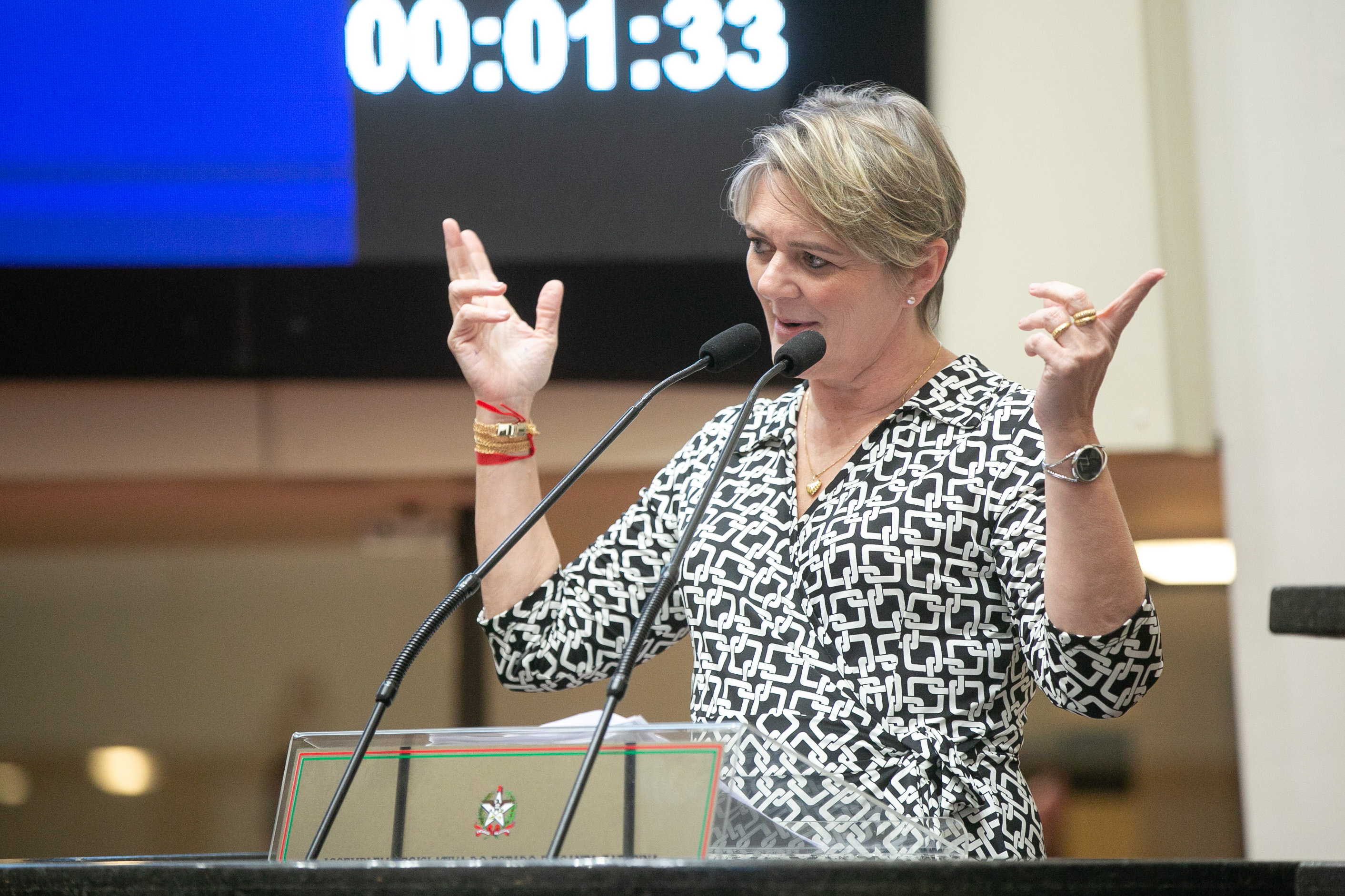 Deputada Luciane Carminatti (PT)