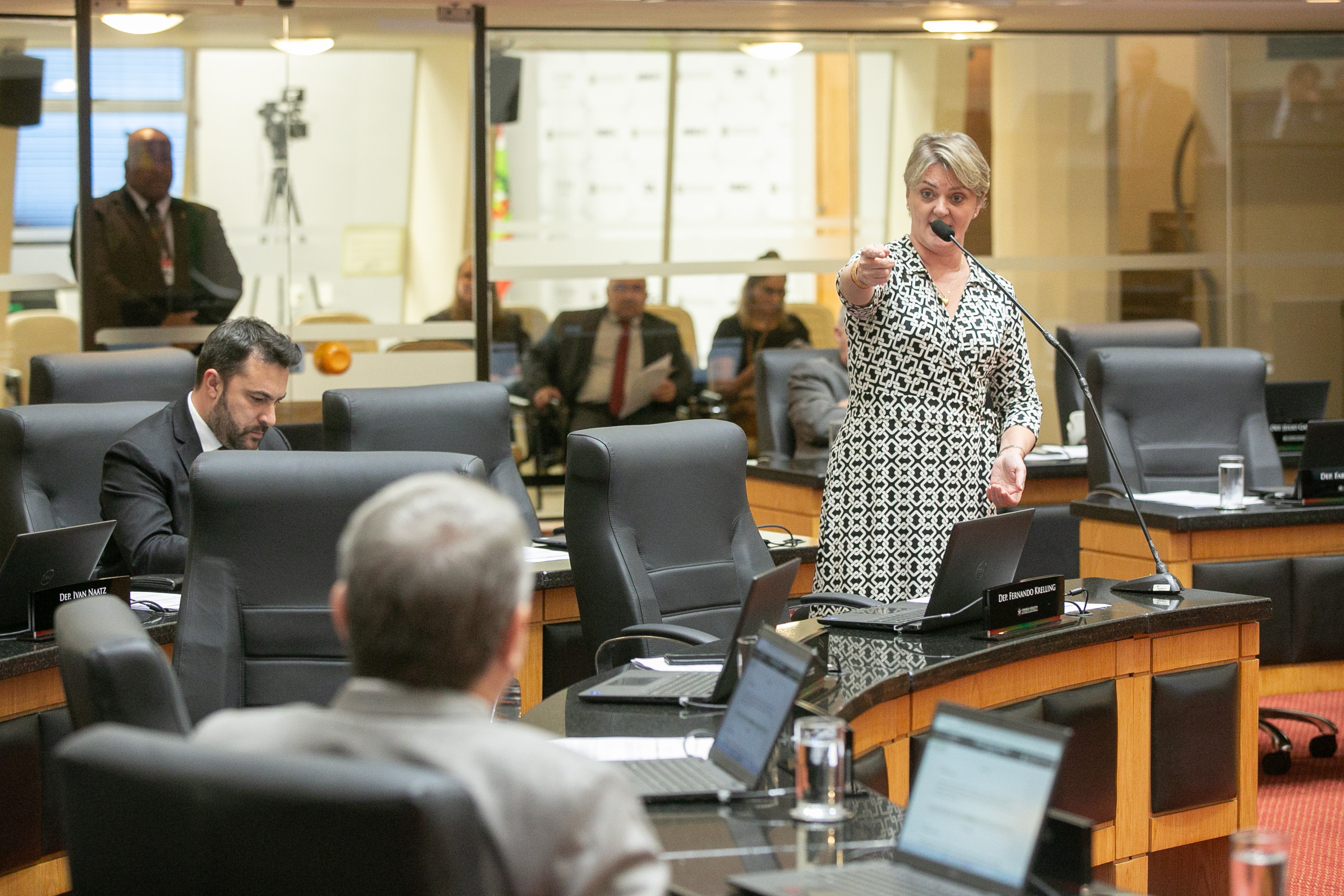 Deputada Luciane Carminatti (PT)