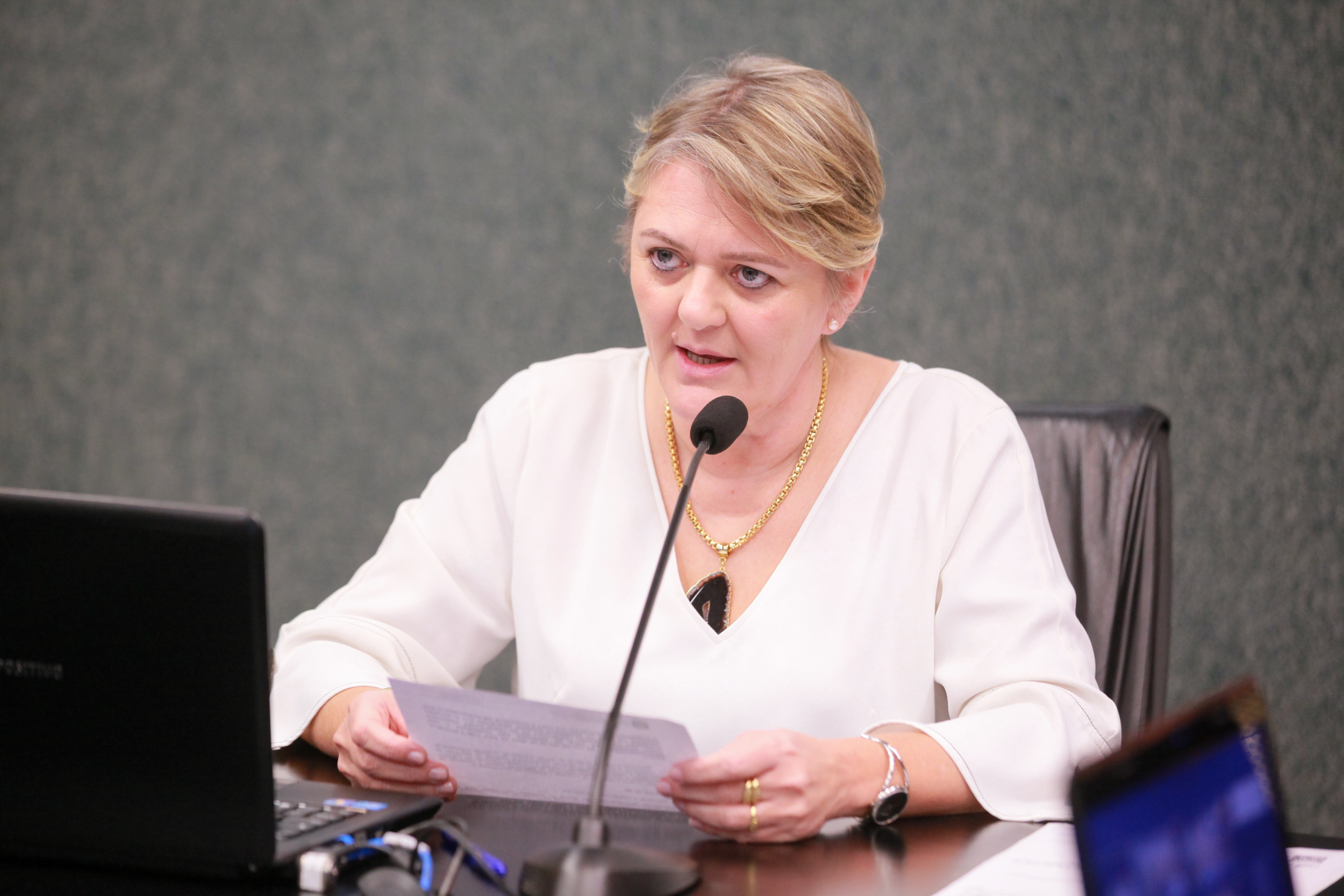 - Deputada Luciane Carminatti (PT)