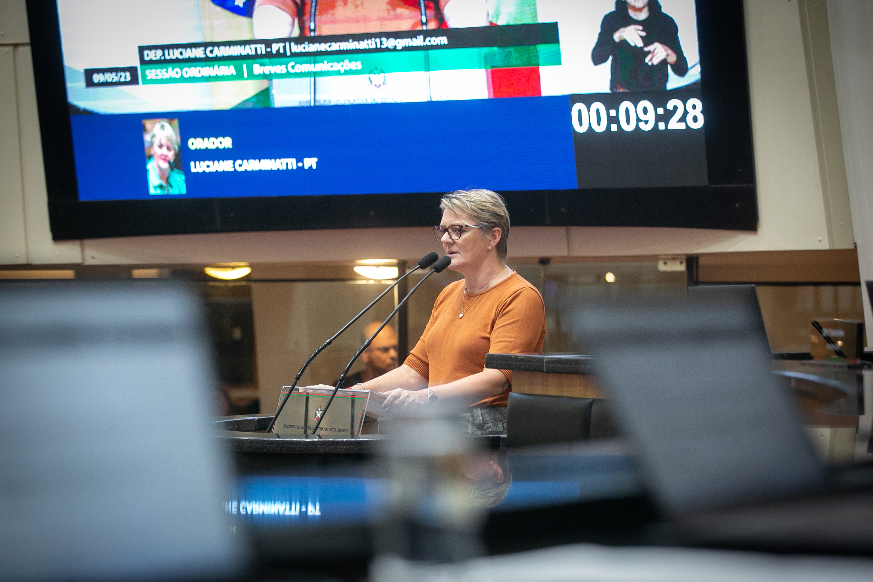 Deputada Luciane Carminatti (PT)