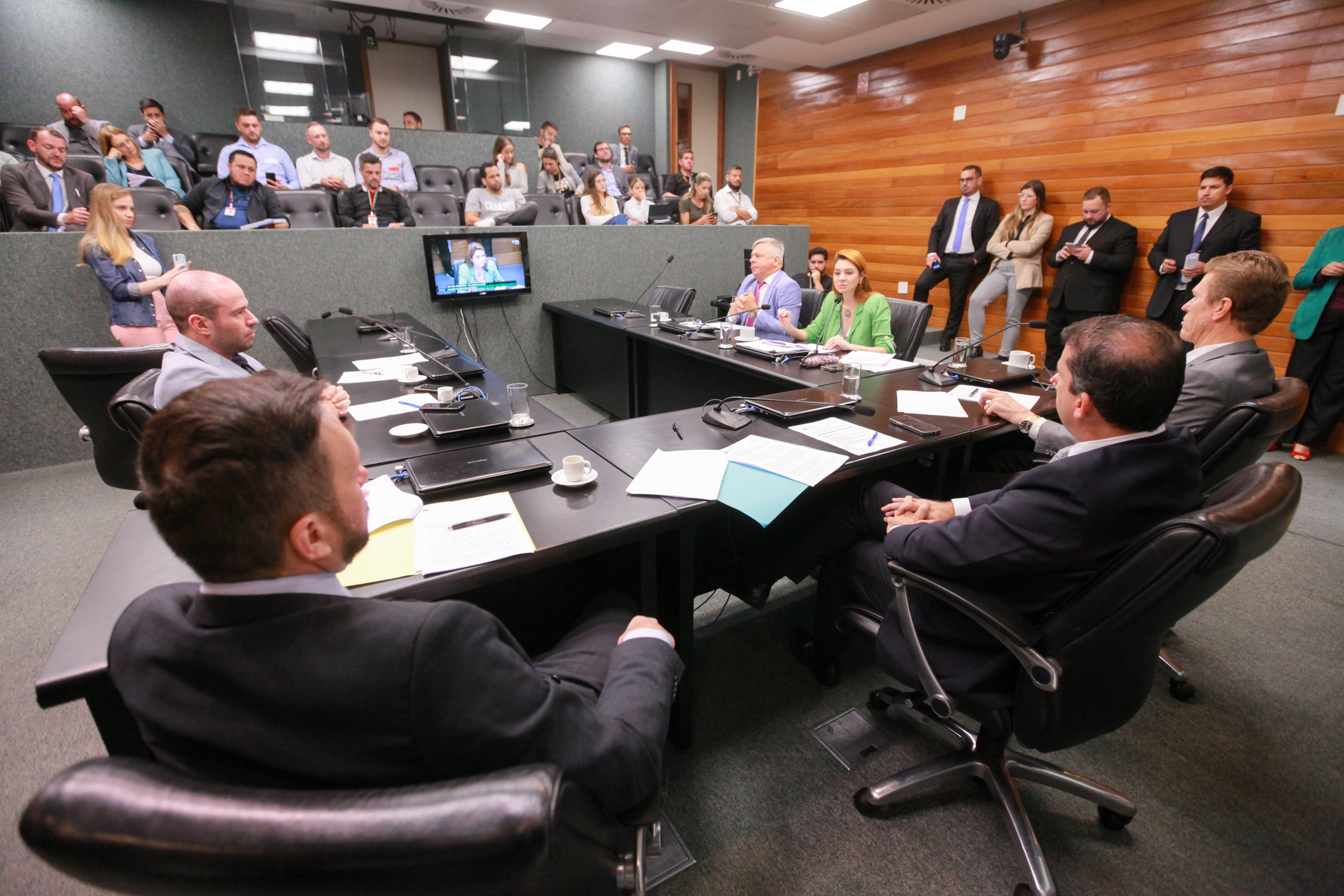 - Comissão de Constituição e Justiça