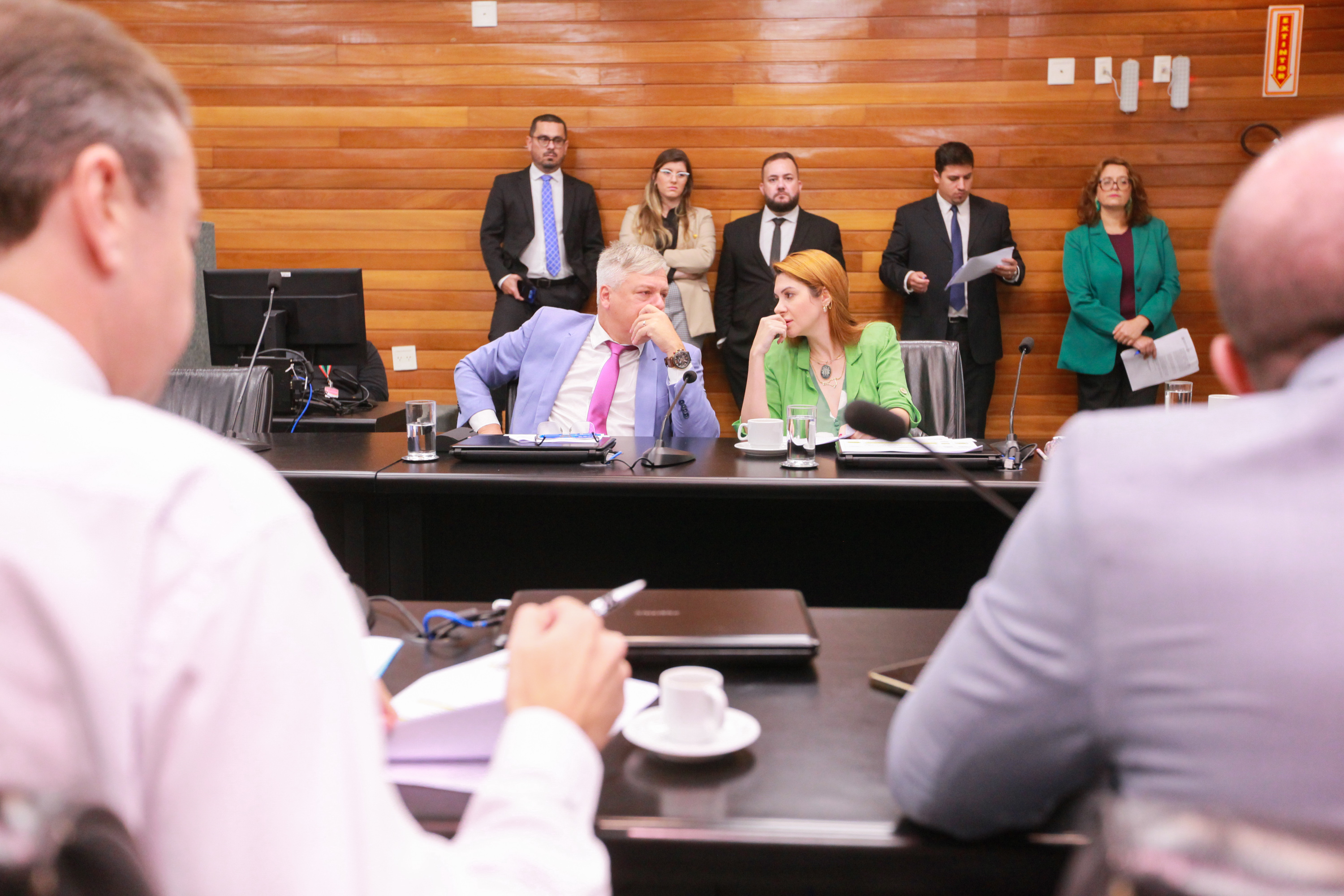 - Comissão de Constituição e Justiça