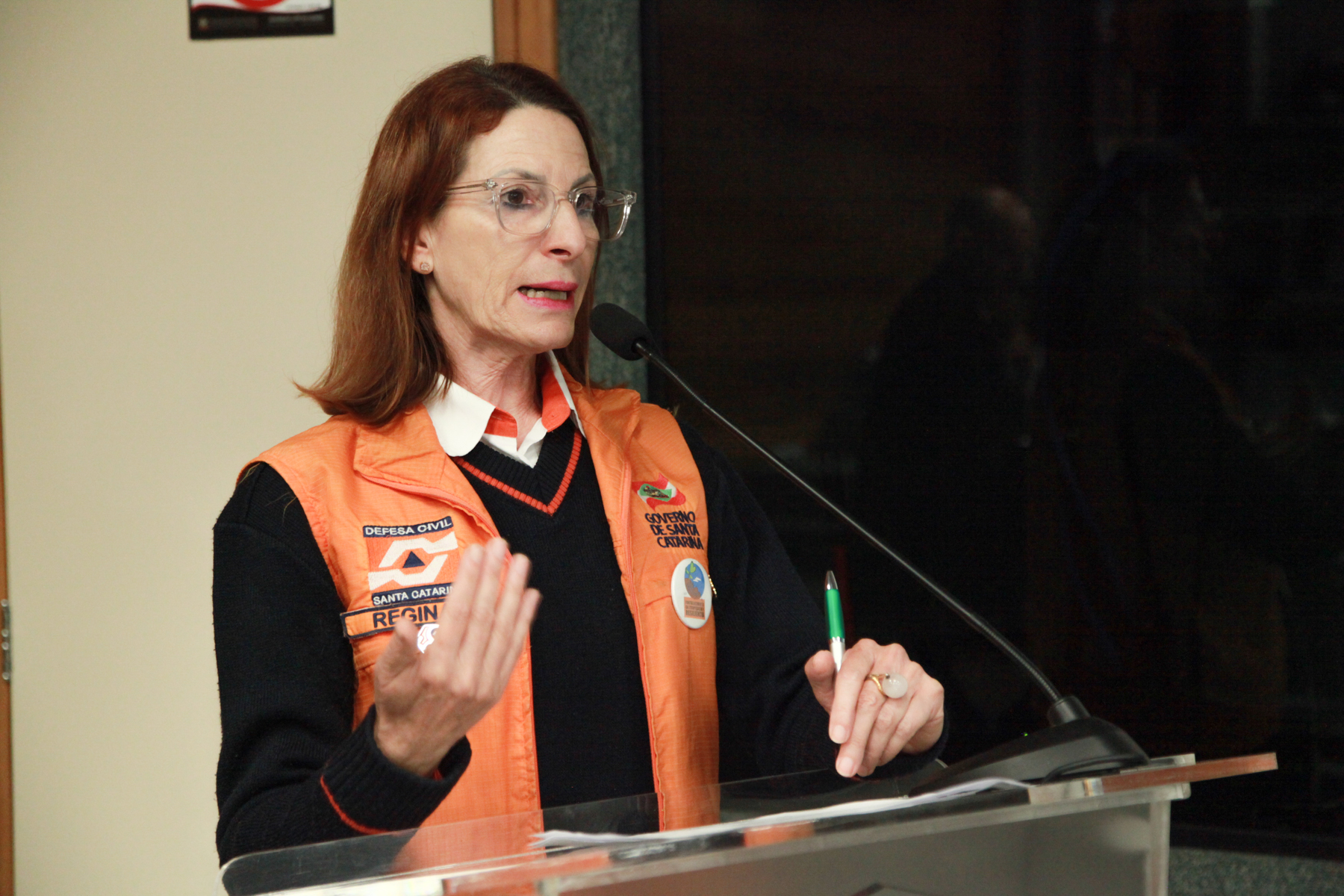 Reunião Comseg Escolar - Regina Pecere