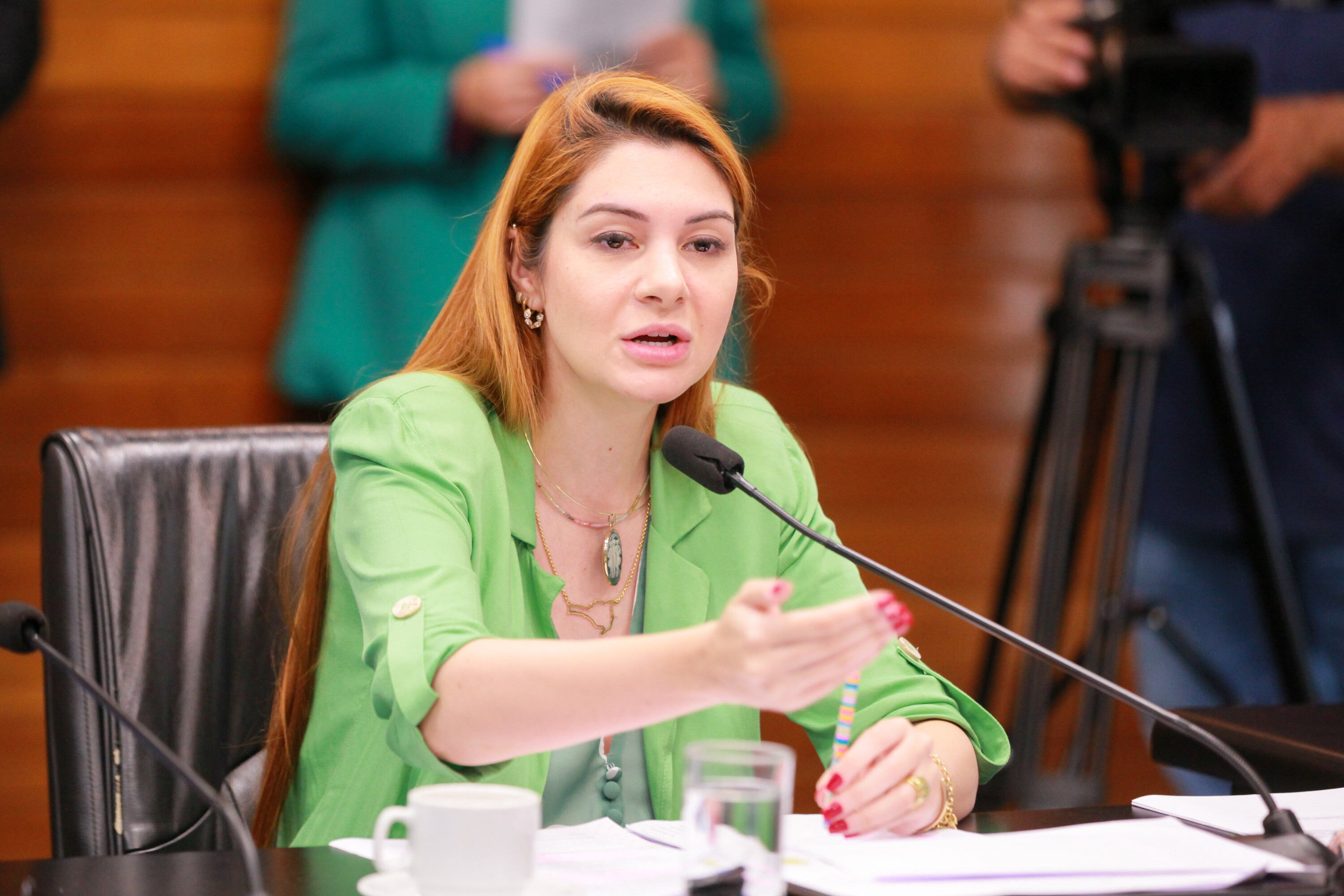 Deputada Ana Campagnolo é a autora do projeto sobre segurança nas escolas