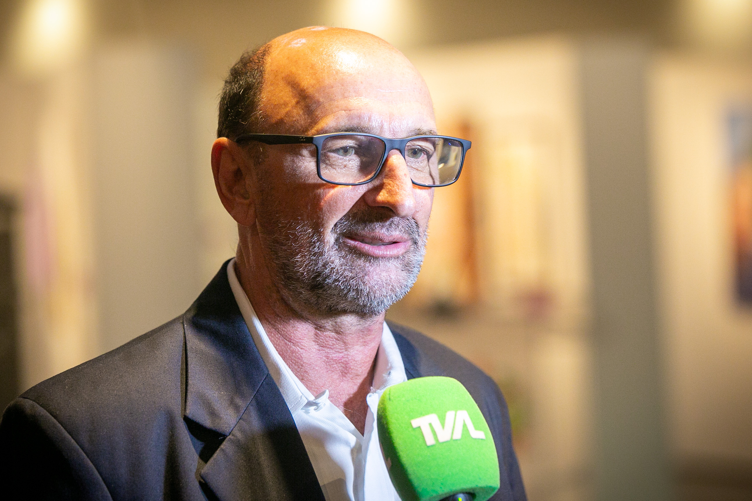 Organizador Lauro Mattei