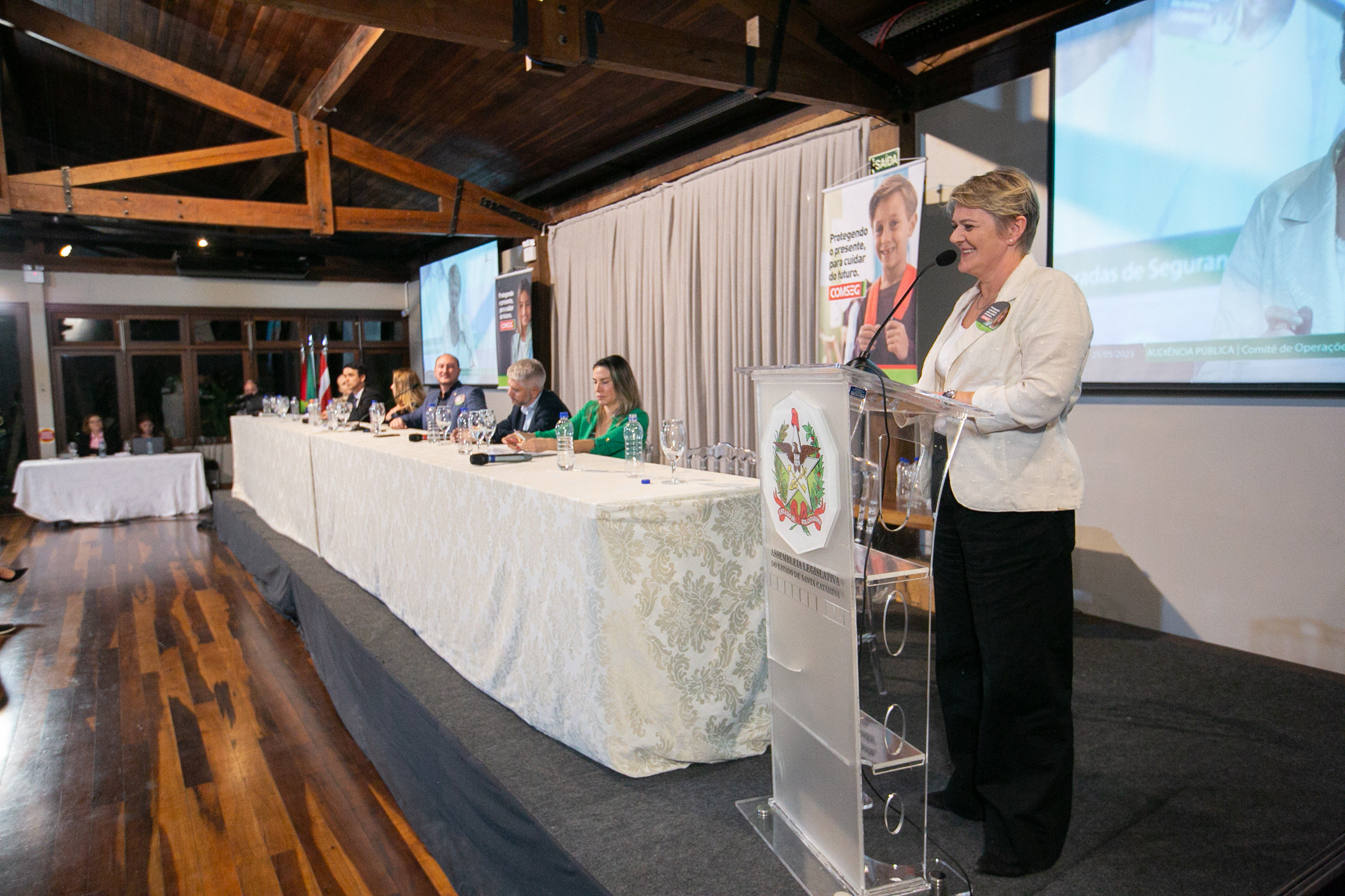 Deputada Luciane Carminatti (PT)