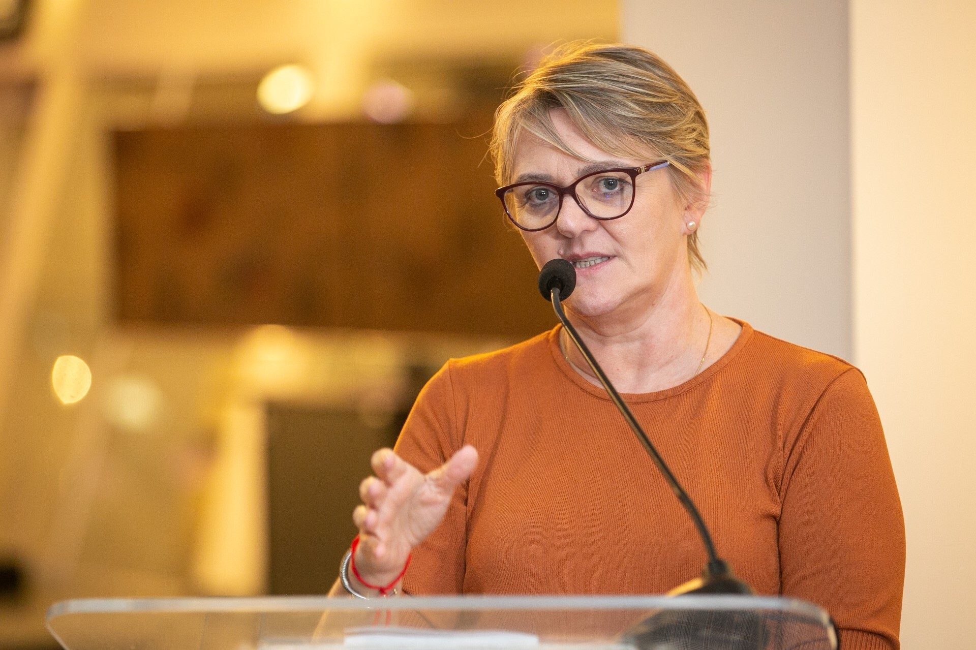 Deputada Luciane Carminatti