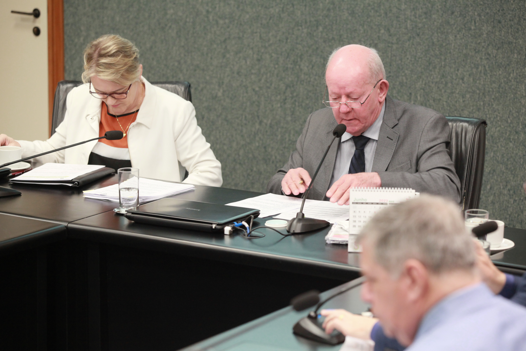 - Deputada Luciane Carminatti (PT) 		
 - Deputado Marcos Vieira (PSDB)