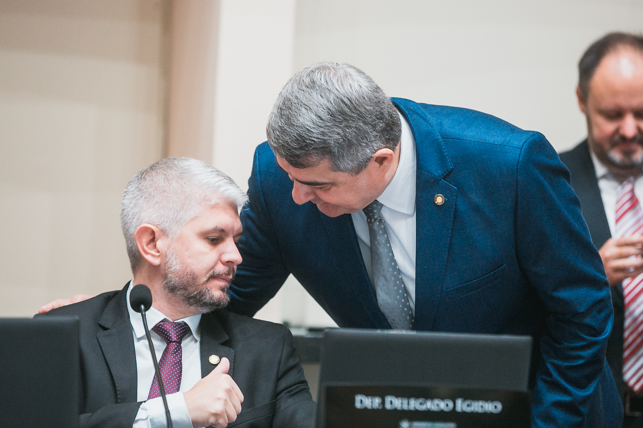 SESSÃO ORDINÁRIA - Deputado Delegado Egídio Ferrari (PL)