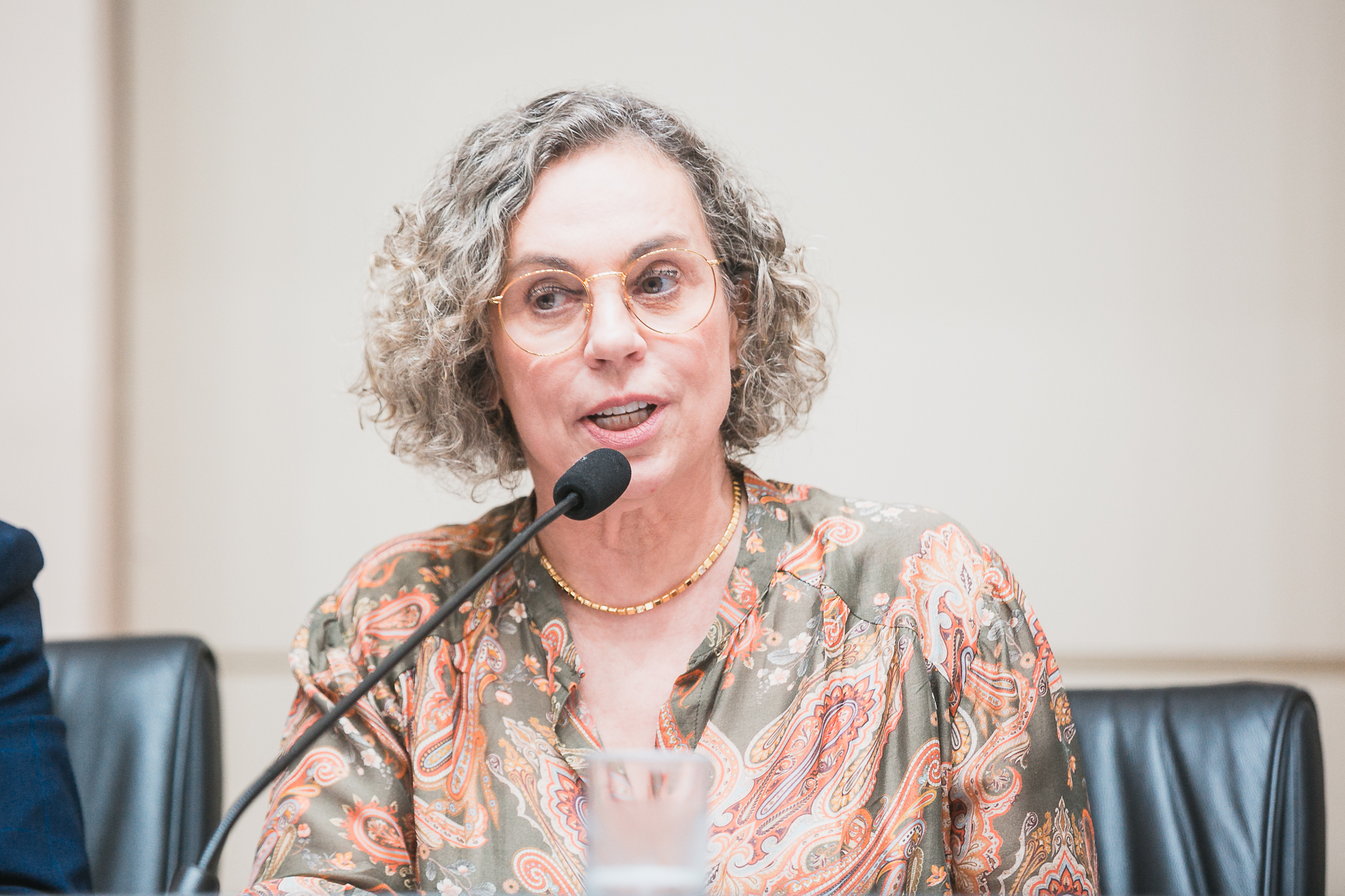 Seminário Estadual sobre Reforma Tributária - Deputada Federal Ana Paula Lima ( PT )