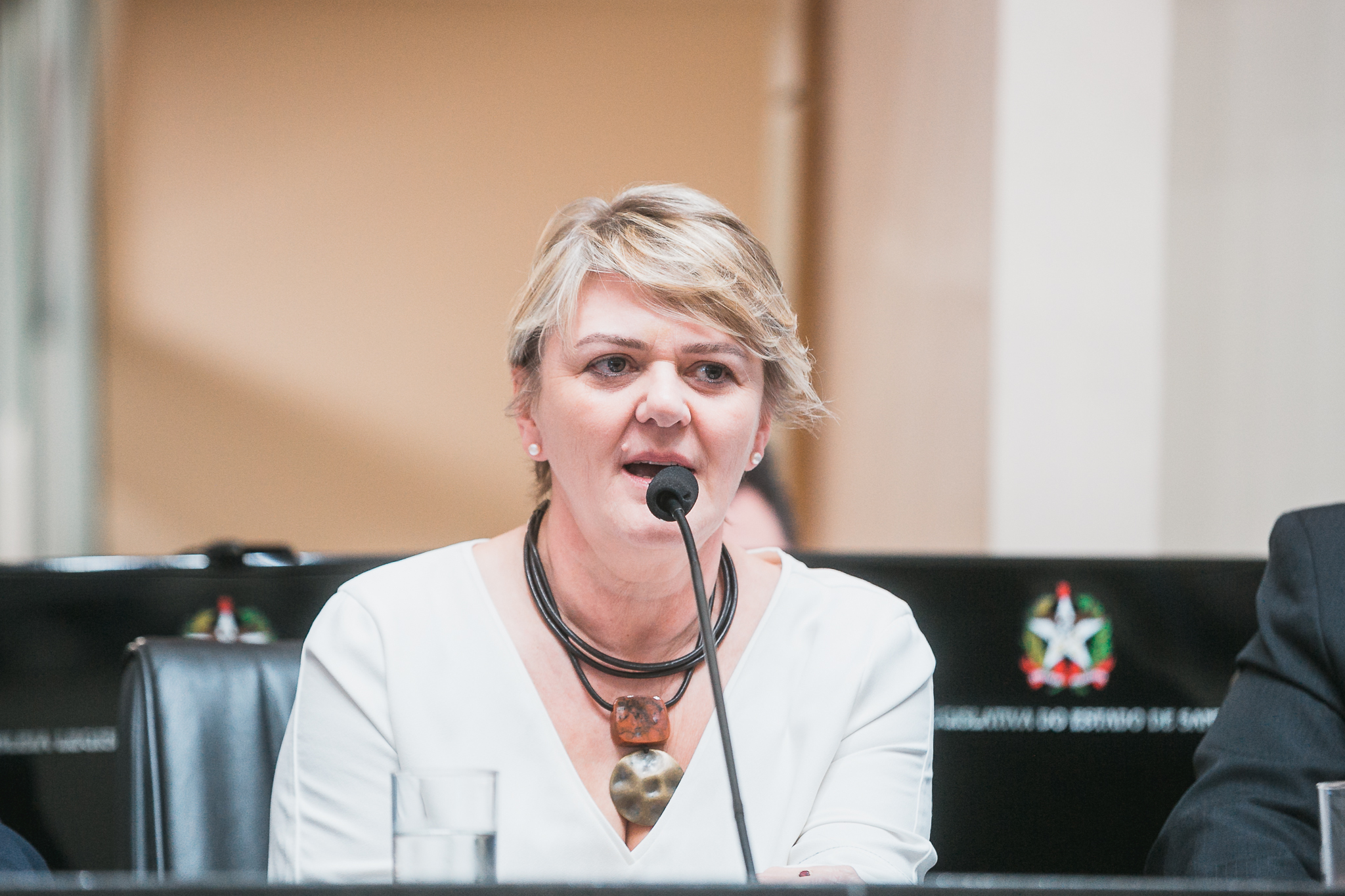 Seminário Estadual sobre Reforma Tributária - Deputada Luciane Carminatti (PT)
