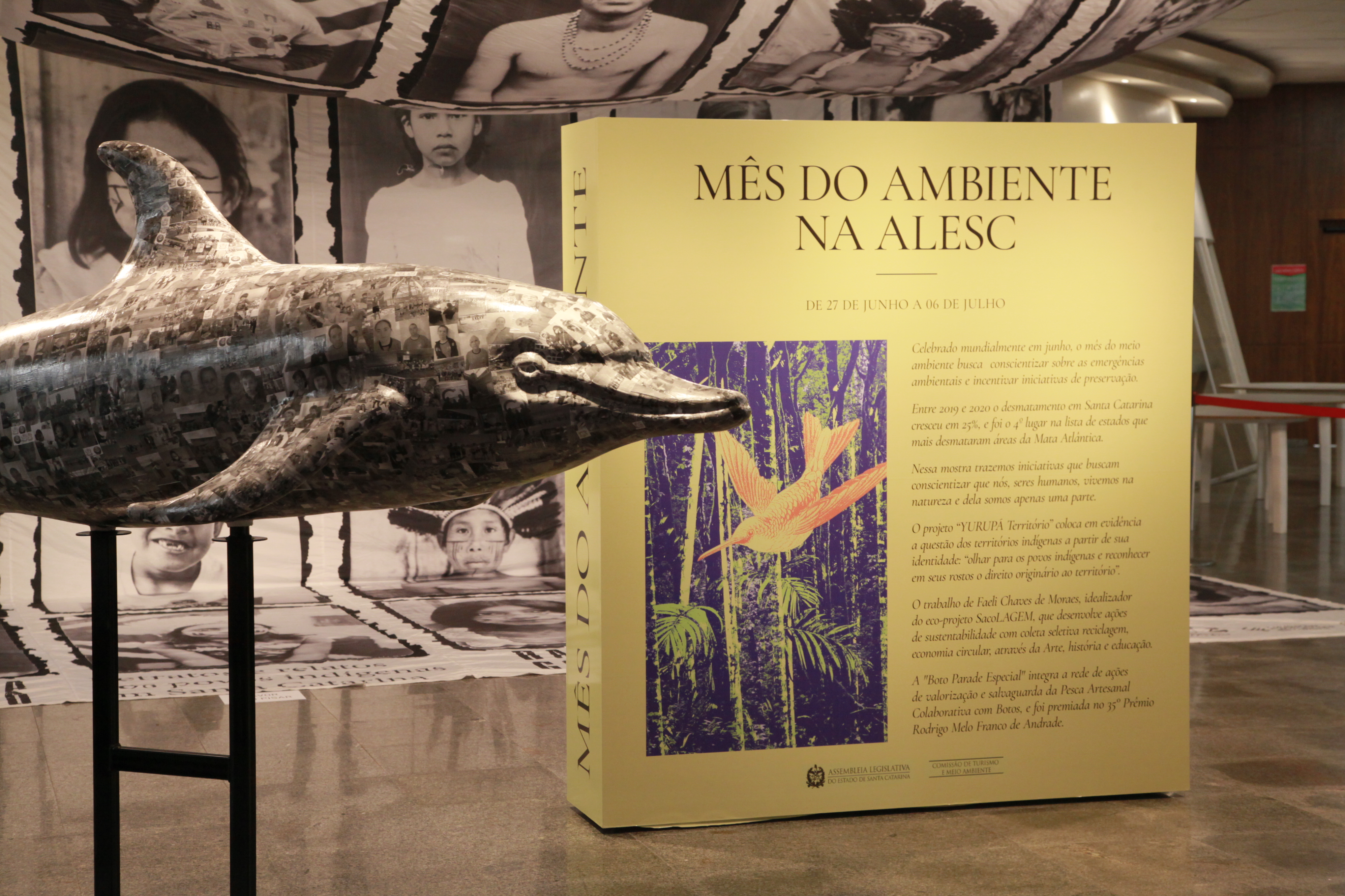 Mostra institucional 
