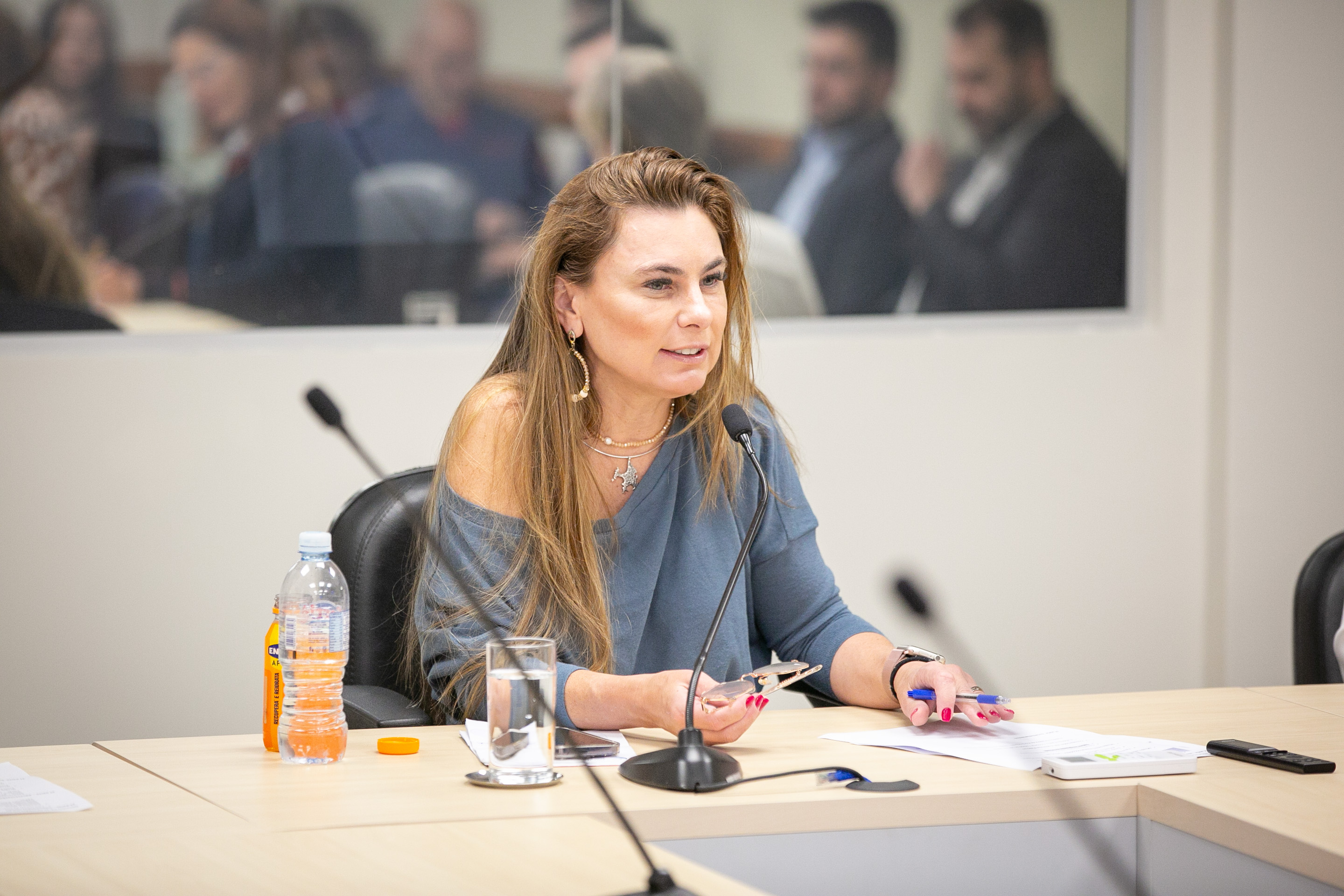 Reunião do COMSEG  - Deputada Paulinha (Podemos)