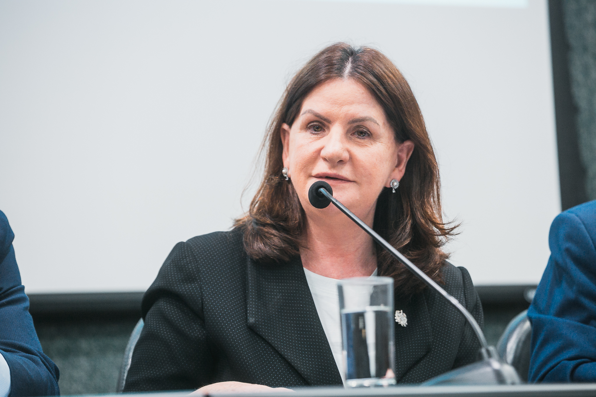 Lançamento da Frente Parlamentar em Defesa da Saúde dos Catarinenses  -Secretaria da Saúde de SC Carmen Zanoto