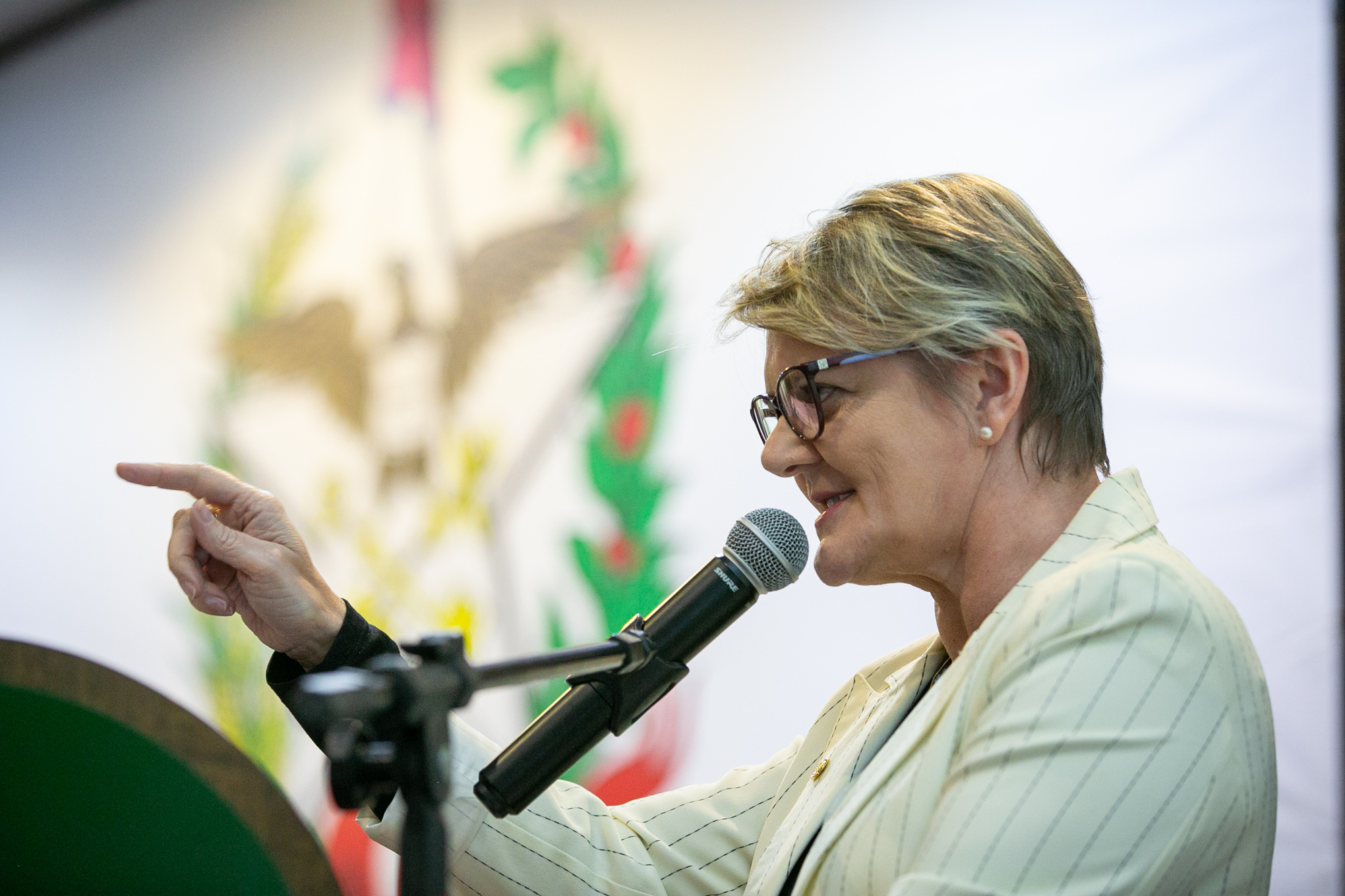 Deputada Luciane Carminatti (PT)
