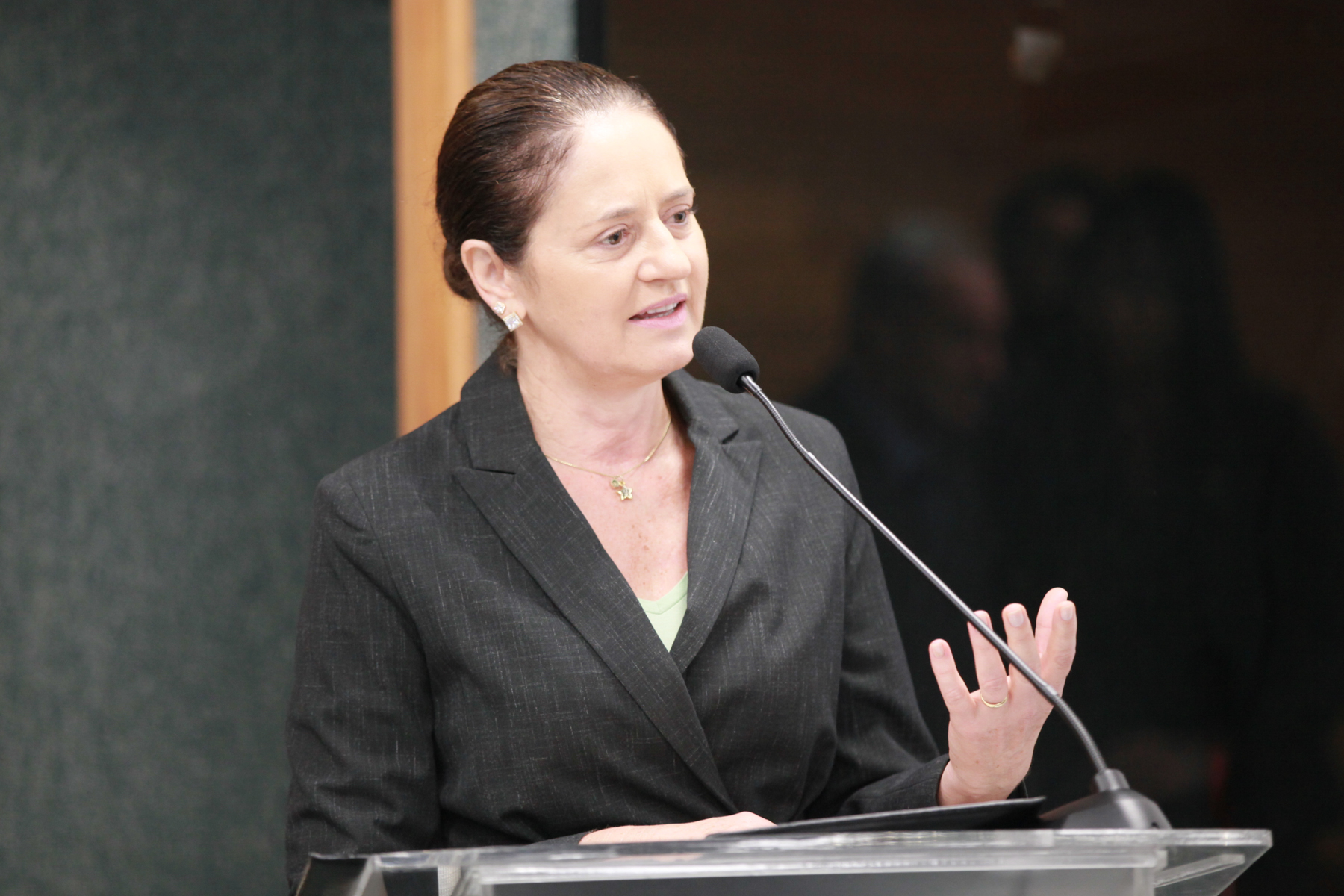 Seminário de Educação Ambiental - Marlene Fengler