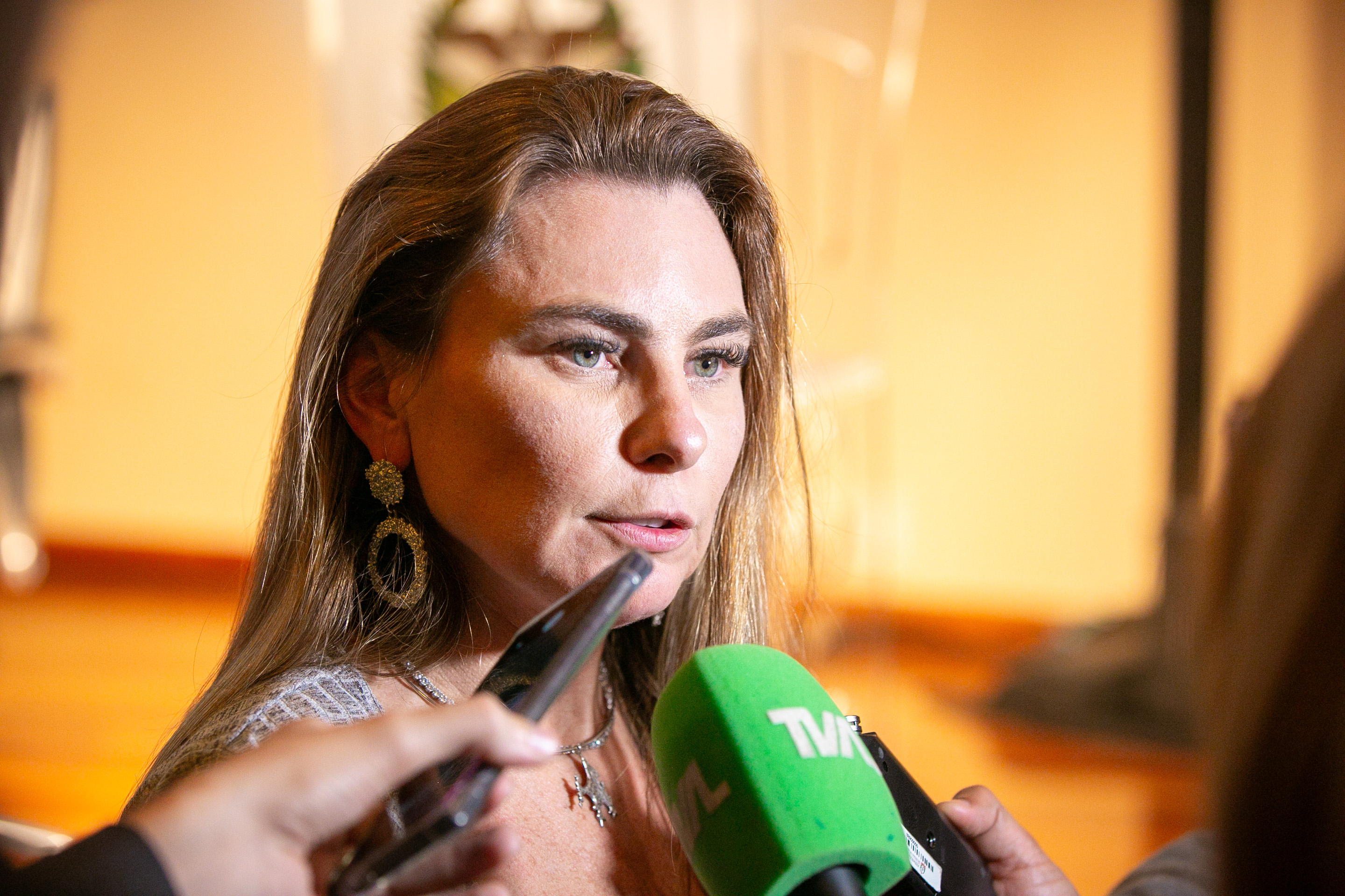 AUDIÊNCIA PÚBLICA - COMSEG em Florianópolis - Deputada Paulinha (Podemos)