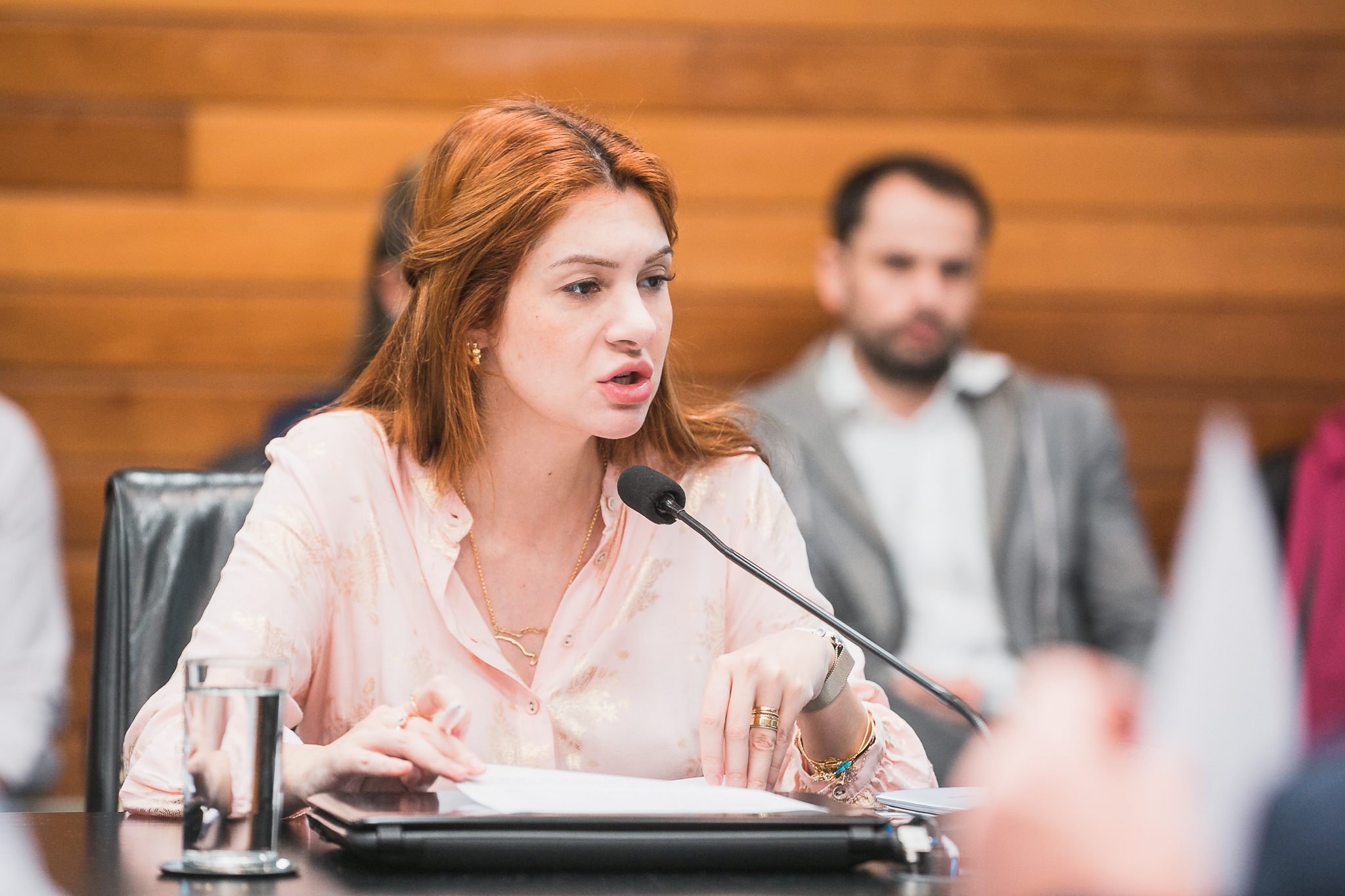 Comissão de Constituição e Justiça - Deputada Ana Caroline Campagnolo (PL)