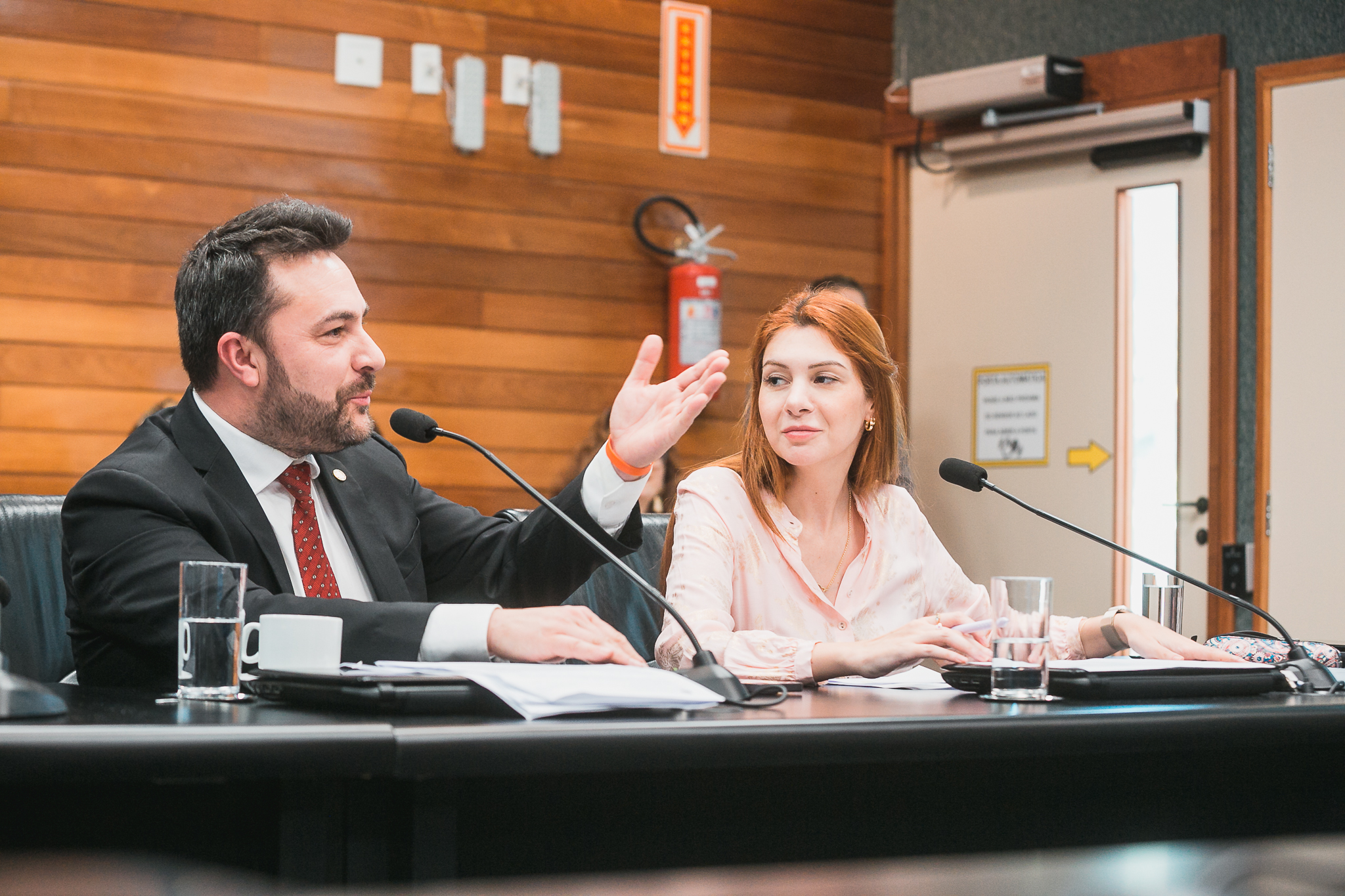 Comissão de Constituição e Justiça