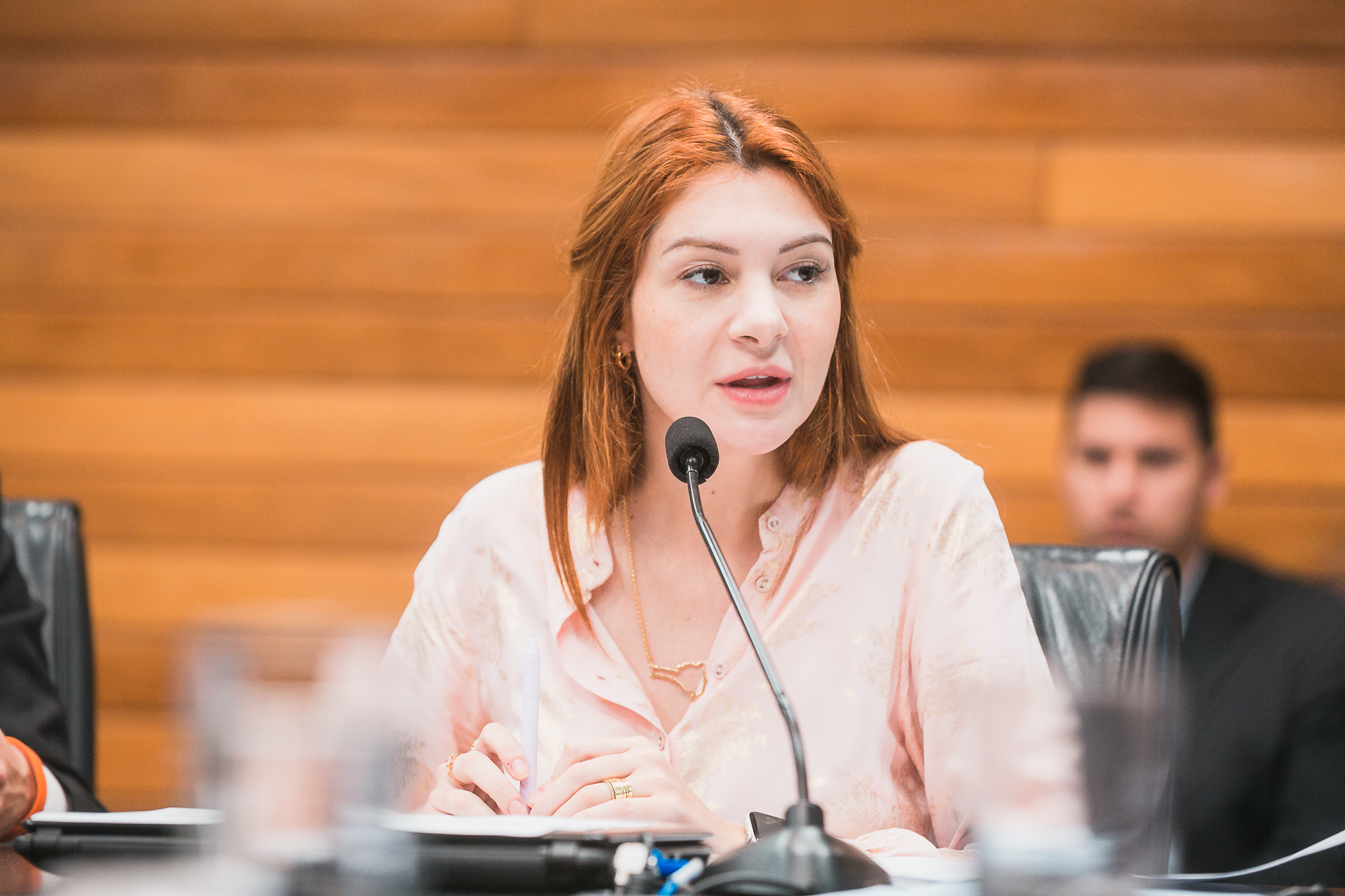 Comissão de Constituição e Justiça- Deputada Ana Caroline Campagnolo (PL)